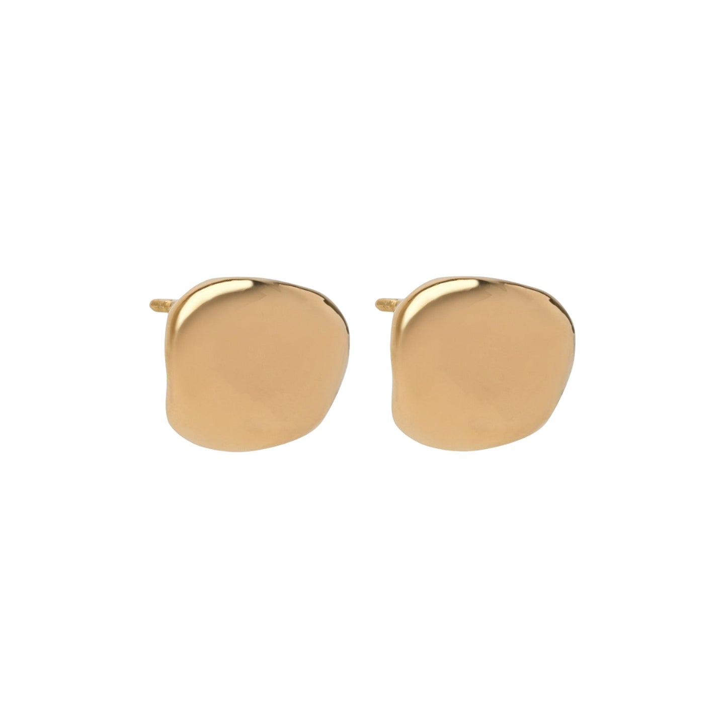 Luxury Bottega Veneta Silver Earrings