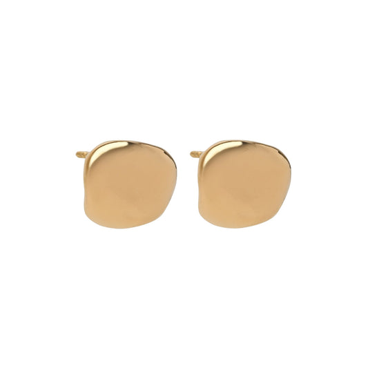 Luxury Bottega Veneta Silver Earrings