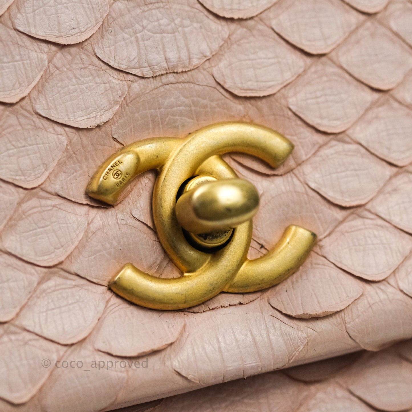 Chanel Quilted Mini Coco Handle Baby Pink Python Gold Hardware