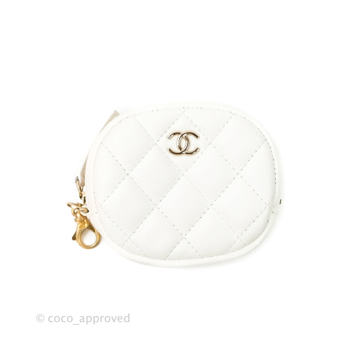 Chanel 19 Tweed Clutch with Chain & Coin Purse