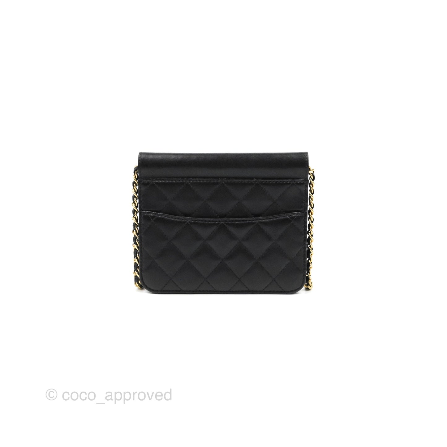 Chanel Mini Flap on Chain Black Calfskin Aged Gold Hardware