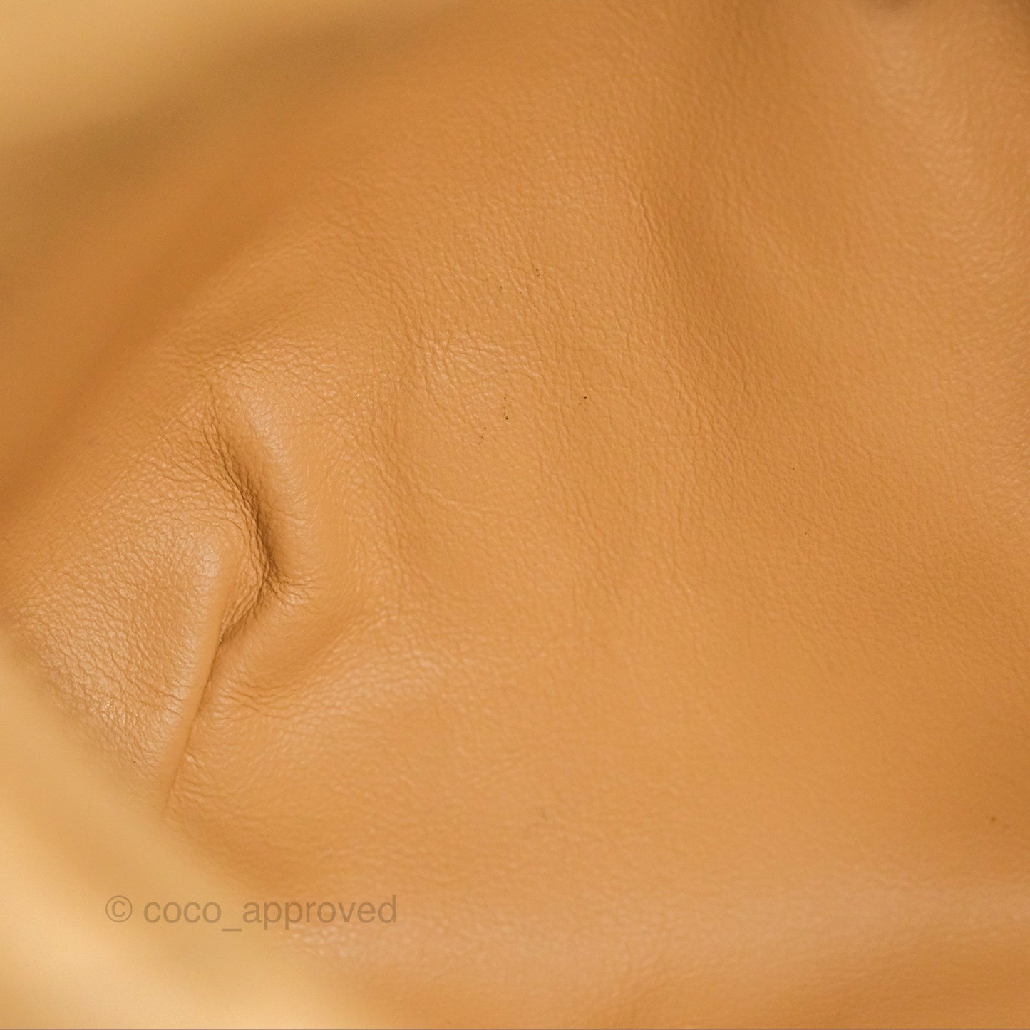 Bottega Veneta Mini Jodie Clutch Bag Intrecciato Almond Lambskin Gold Hardware