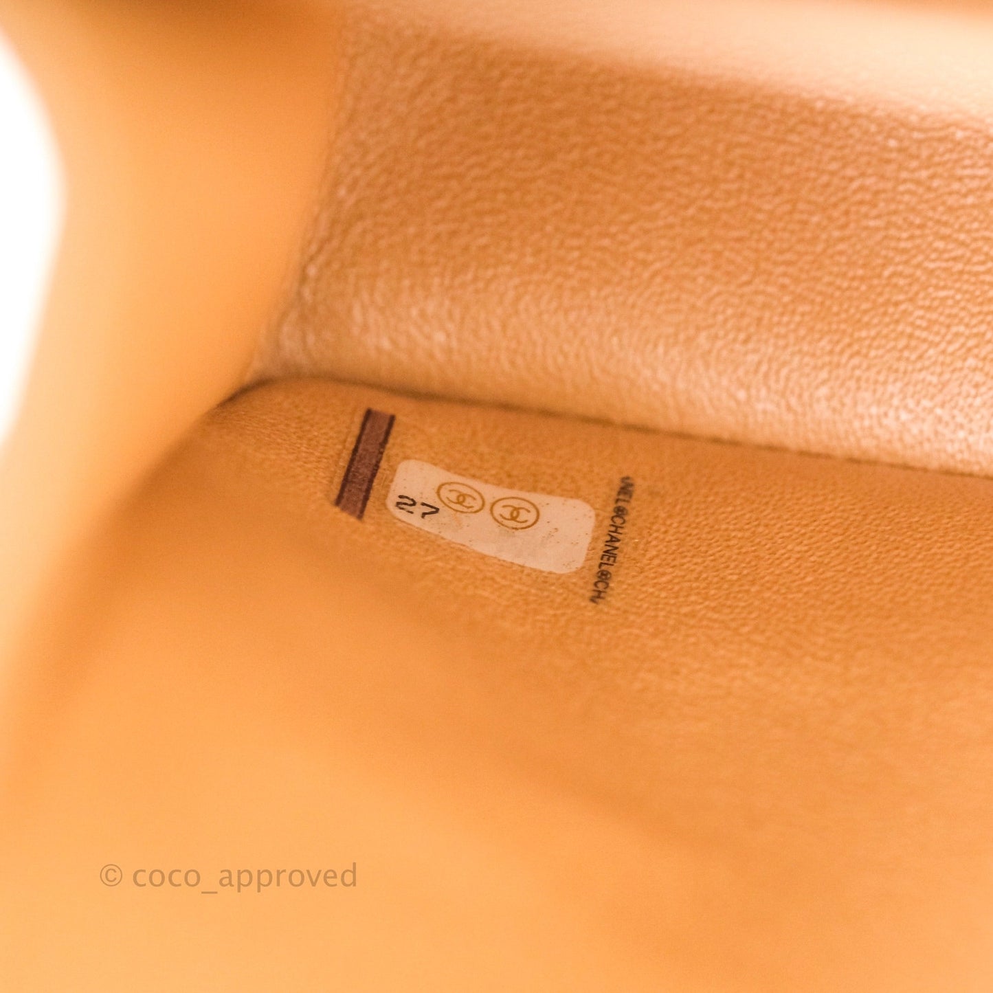 Chanel Classic M/L Medium Double Flap Iridescent Beige Caviar Gold Hardware 19S