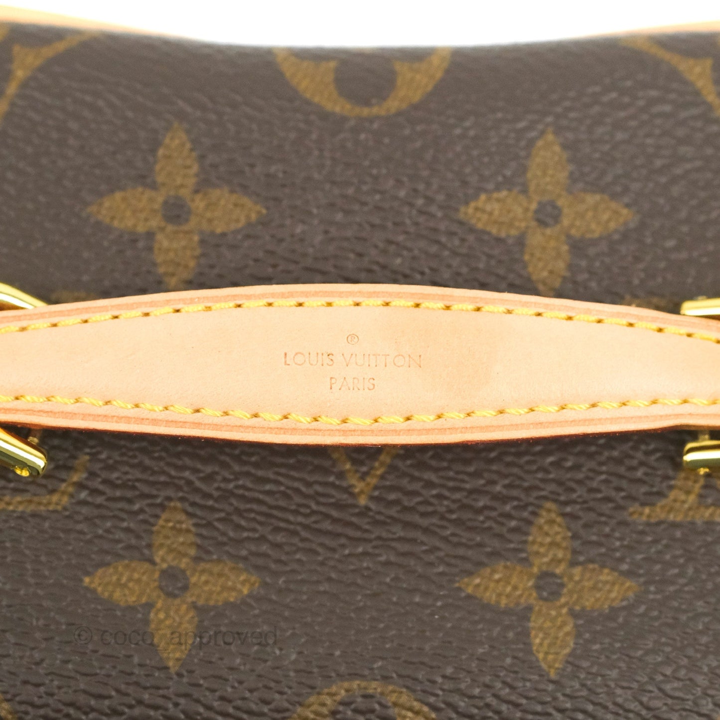 Louis Vuitton Monogram Nice Nano
