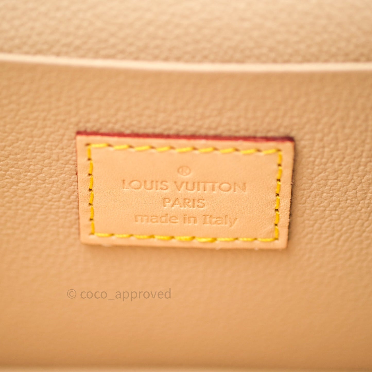 Louis Vuitton Monogram Nice Mini