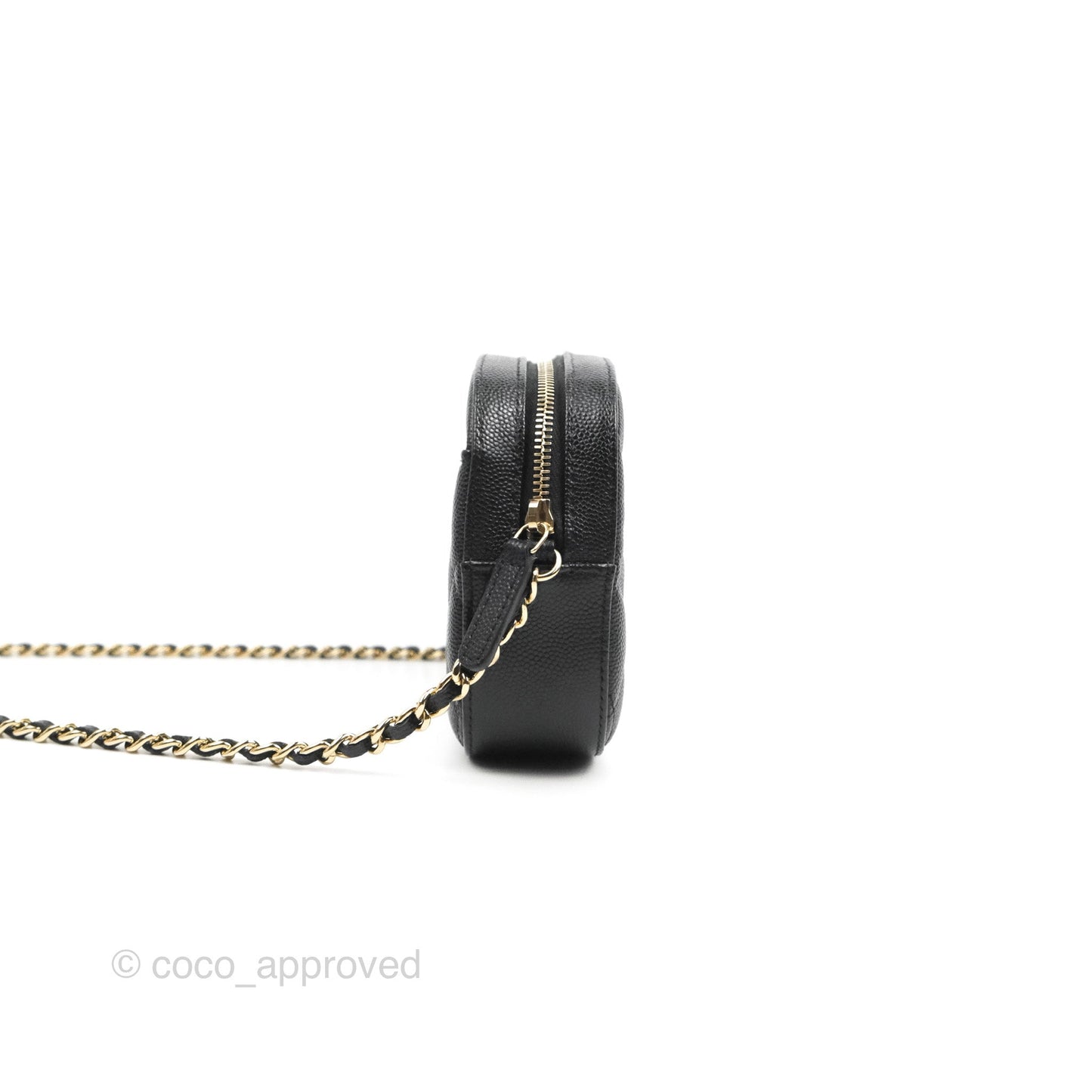 Chanel Quilted Camera Bag Black Caviar Gold Hardware 21A