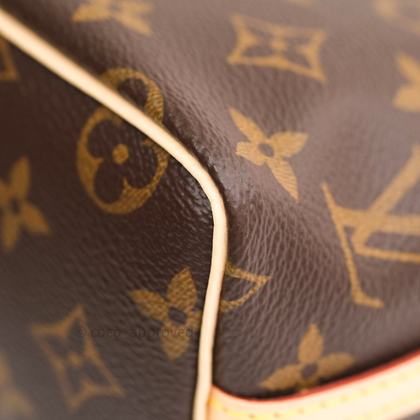 Louis Vuitton Monogram Nano Noe