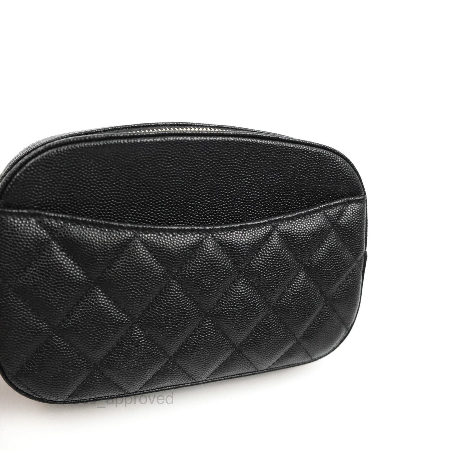 Chanel Quilted Camera Bag Black Caviar Gold Hardware 21A
