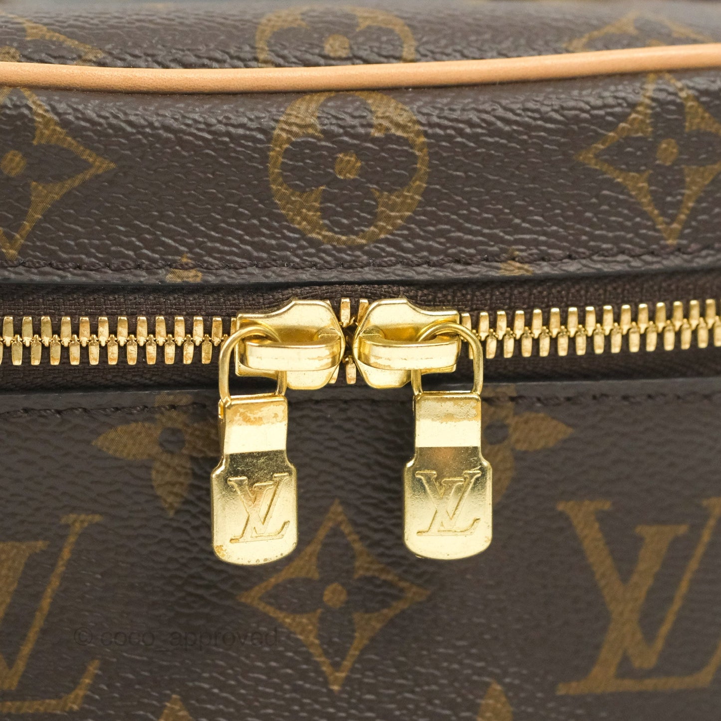Louis Vuitton Monogram Nice Nano