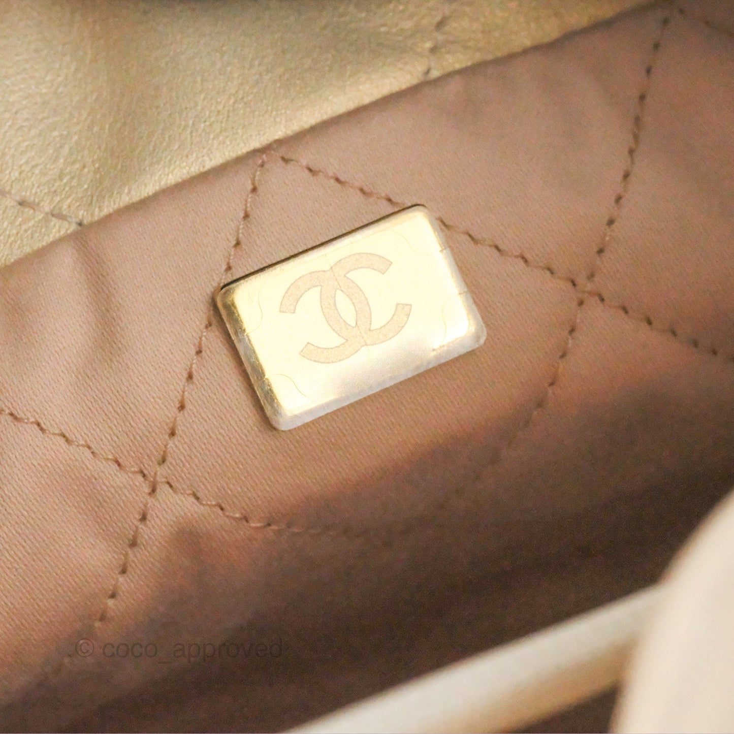 Chanel 22 Mini Bag Iridescent Pearl Calfskin