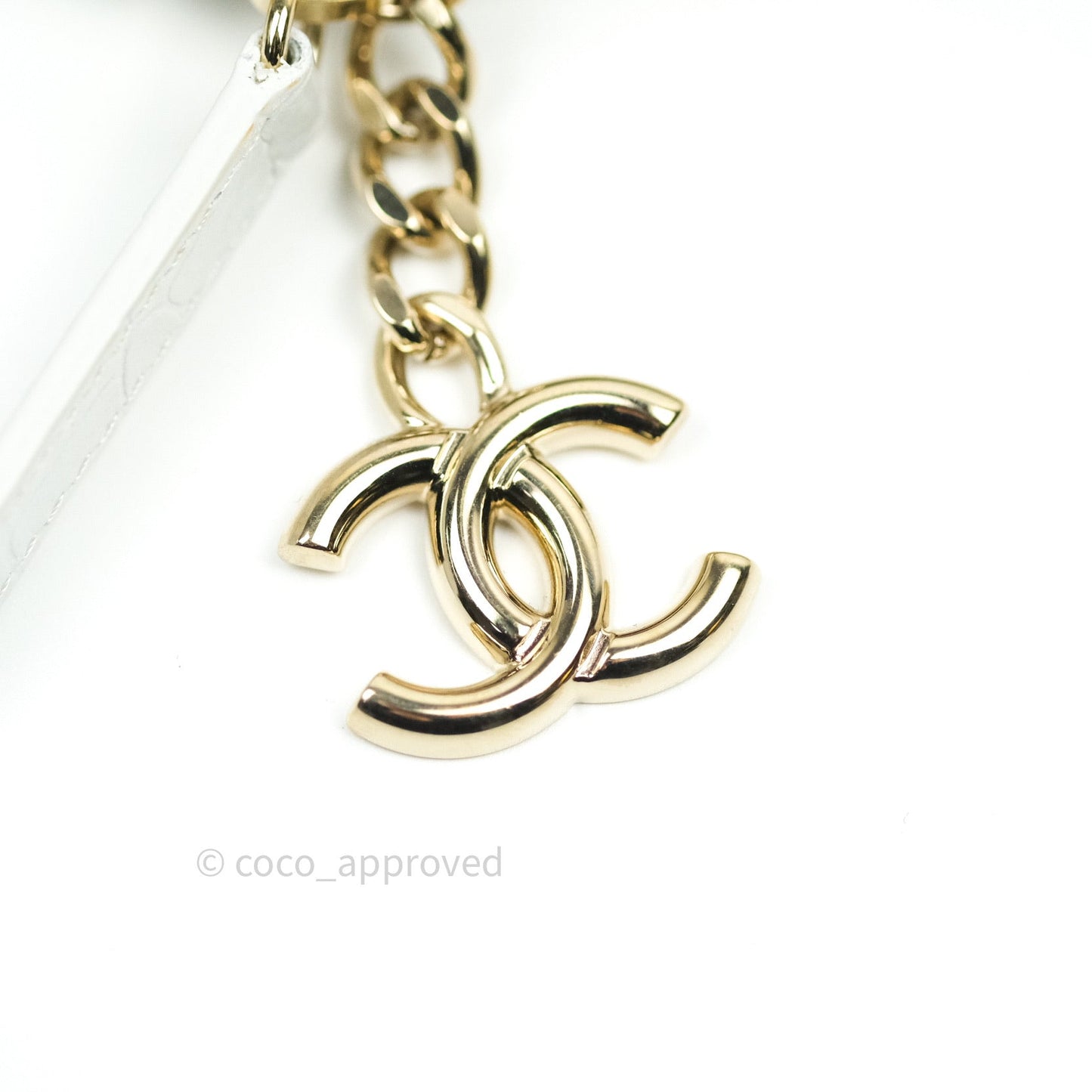 Chanel Calfskin Crocodile Embossed Mini O Case White Gold