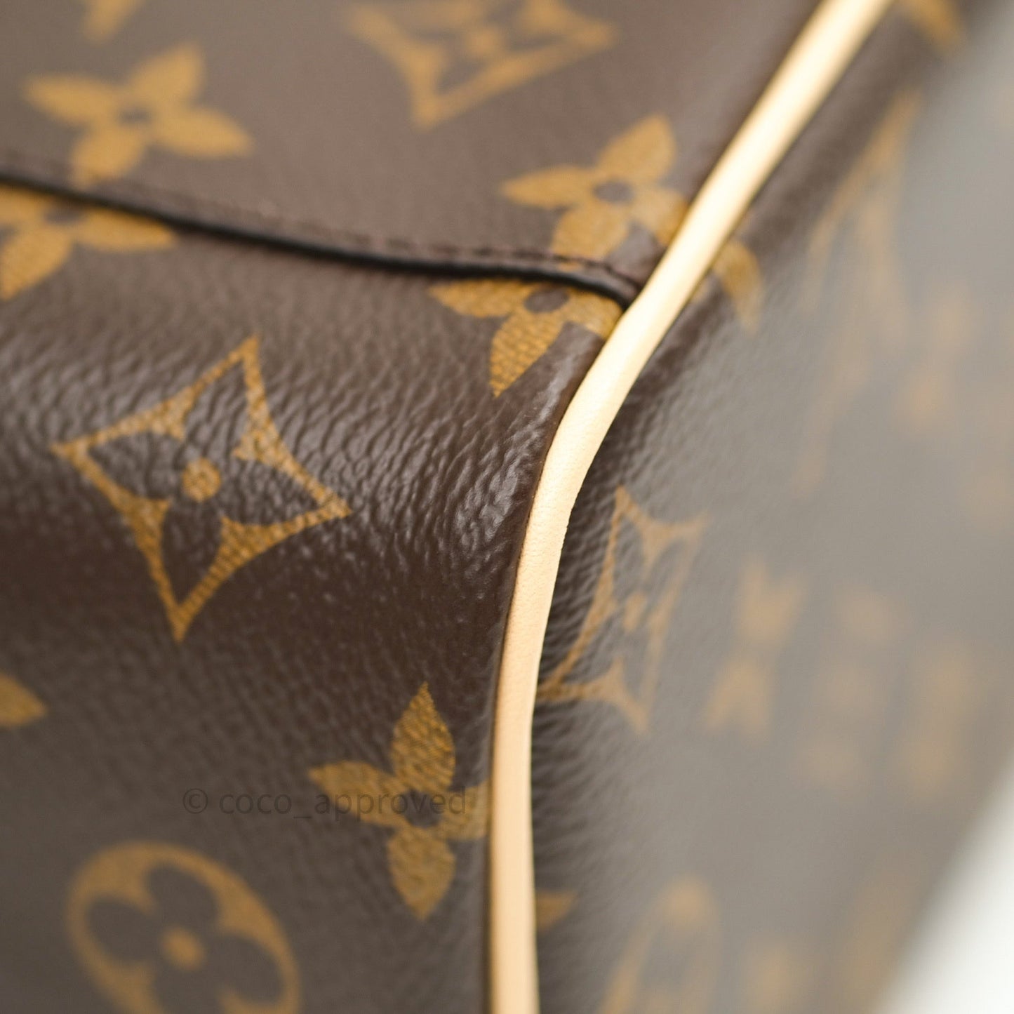 Louis Vuitton Monogram Nice Mini