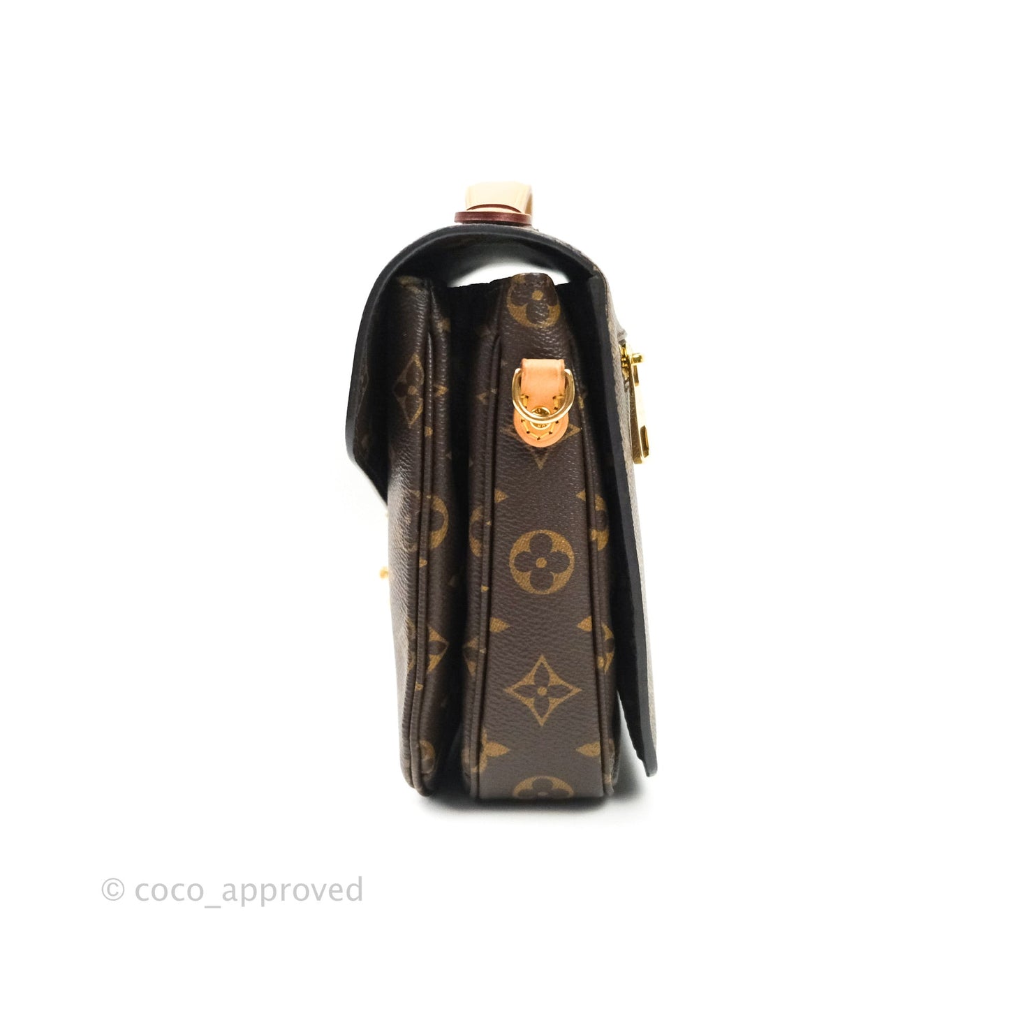 Louis Vuitton Monogram Pochette Metis