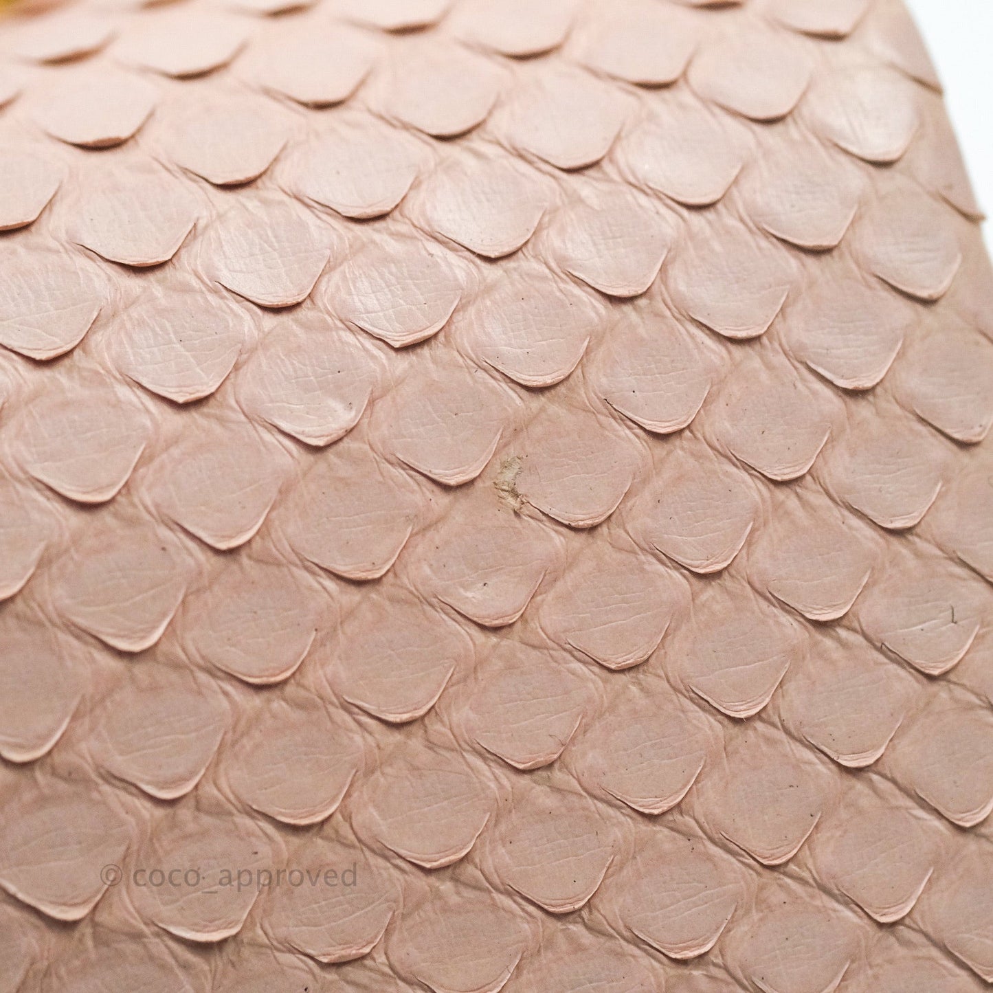 Chanel Quilted Mini Coco Handle Baby Pink Python Gold Hardware