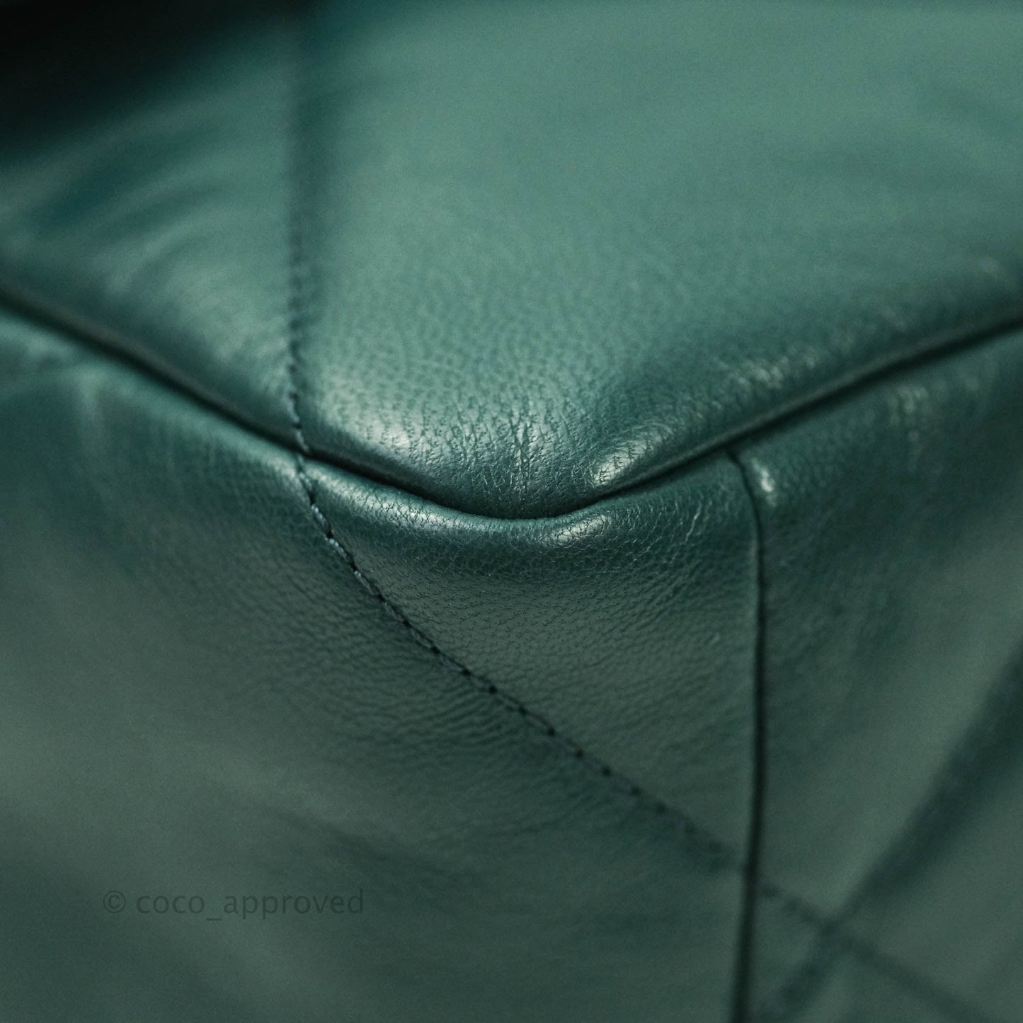 Chanel 19 Medium Dark Green Mixed Hardware Goatskin