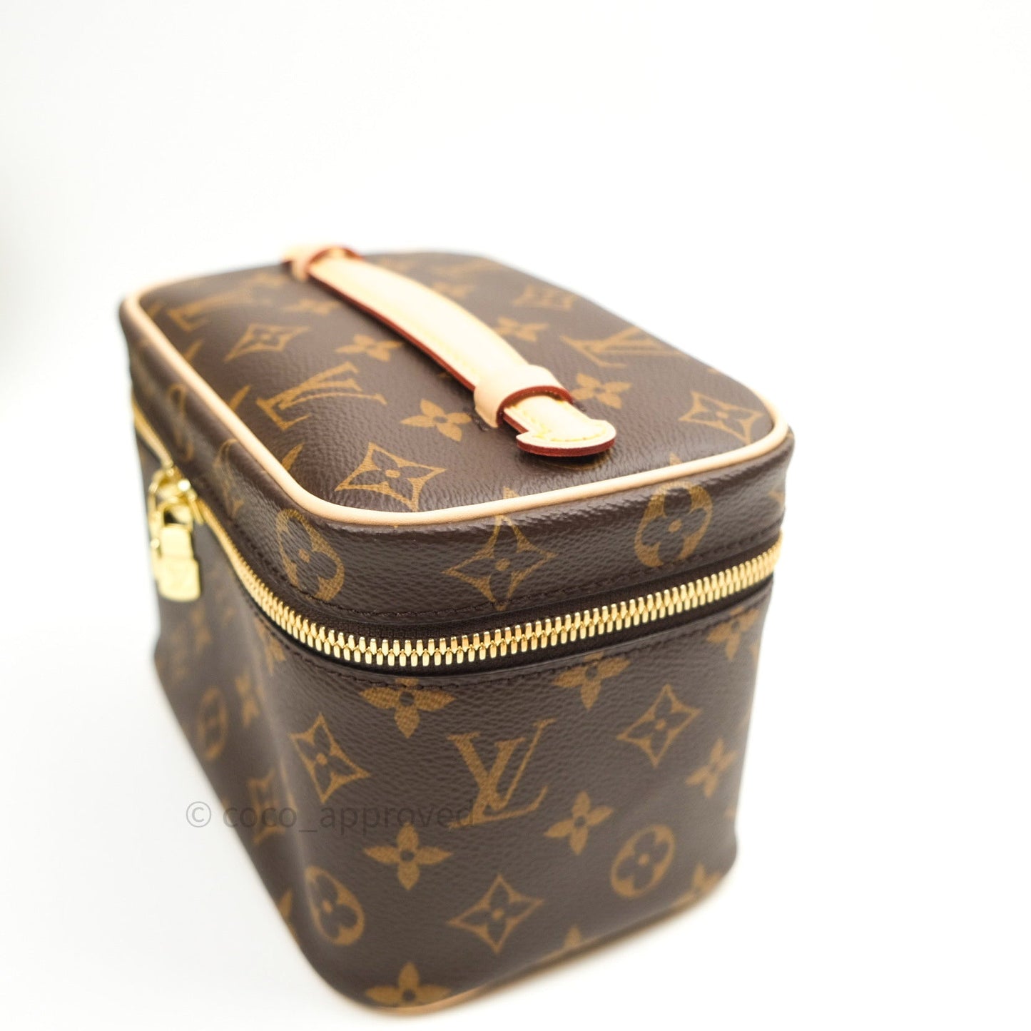 Louis Vuitton Monogram Nice Mini