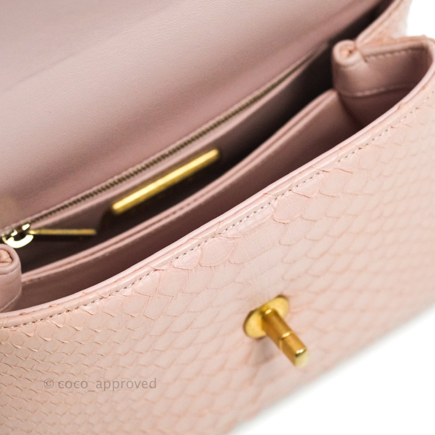 Chanel Quilted Mini Coco Handle Baby Pink Python Gold Hardware