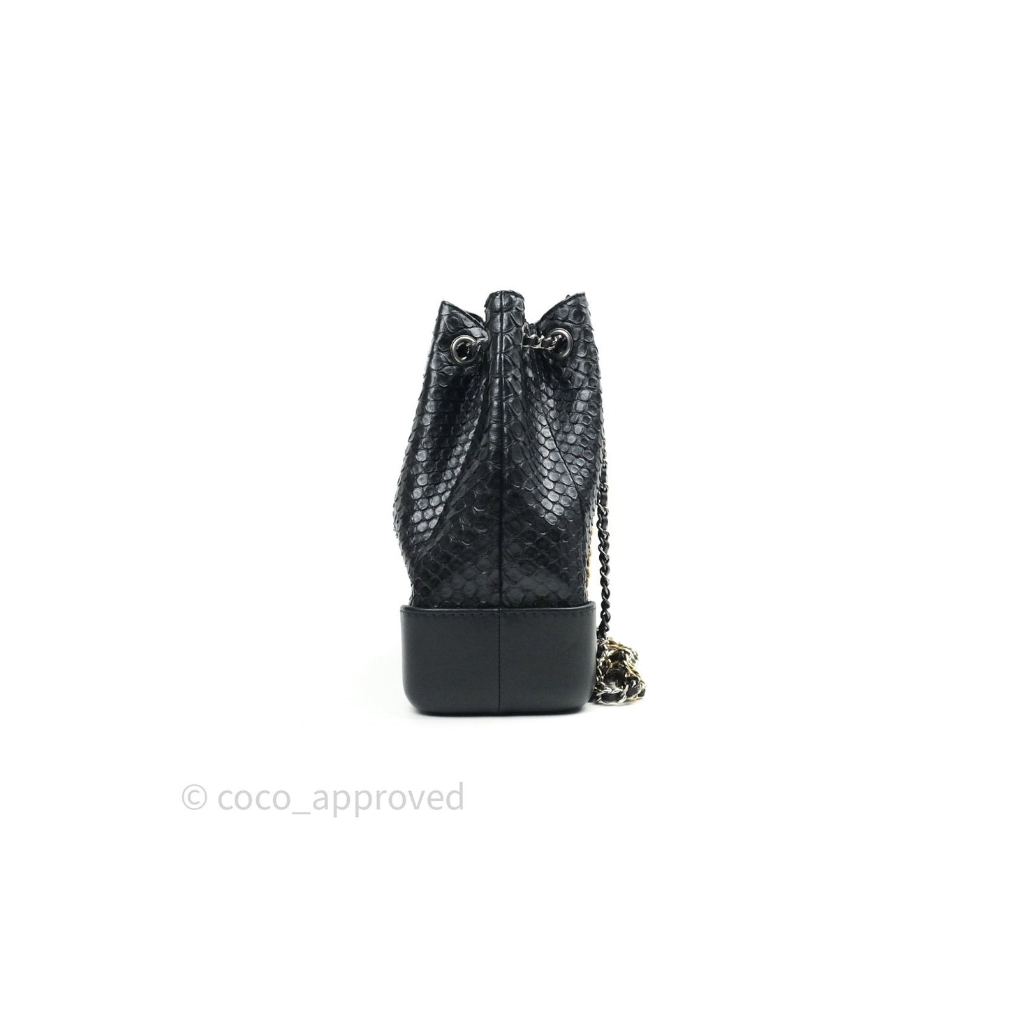 Chanel Gabrielle Backpack Black Python Small Black Mixed Hardware