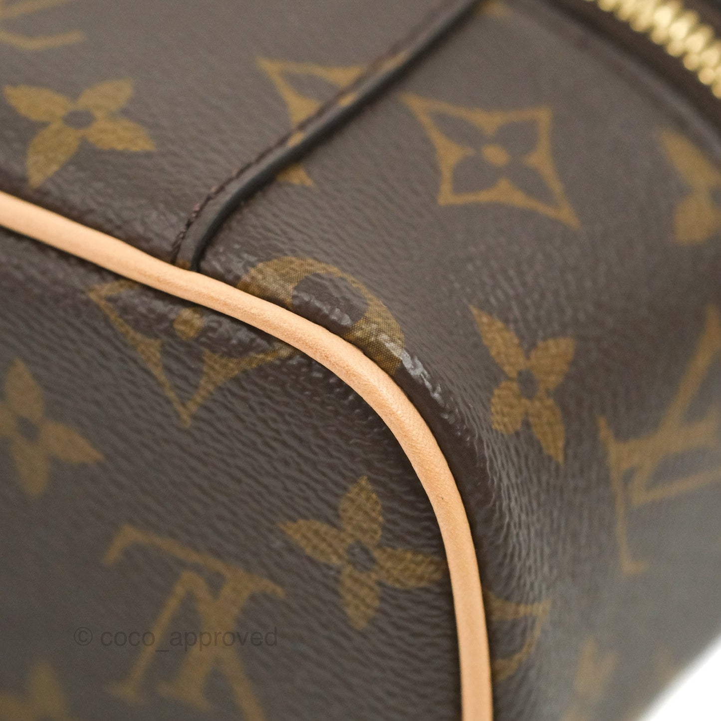 Louis Vuitton Monogram Nice Nano