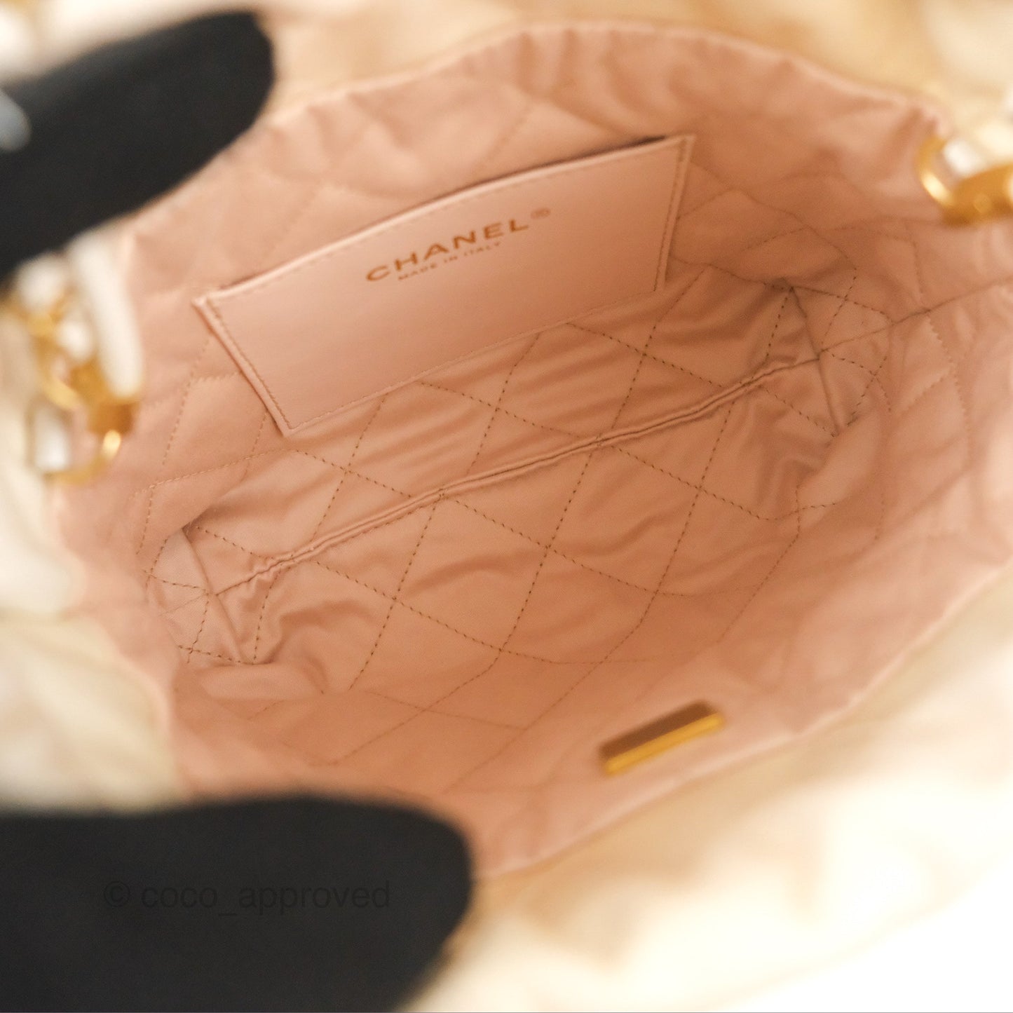 Chanel 22 Mini Bag Iridescent Pearl Calfskin