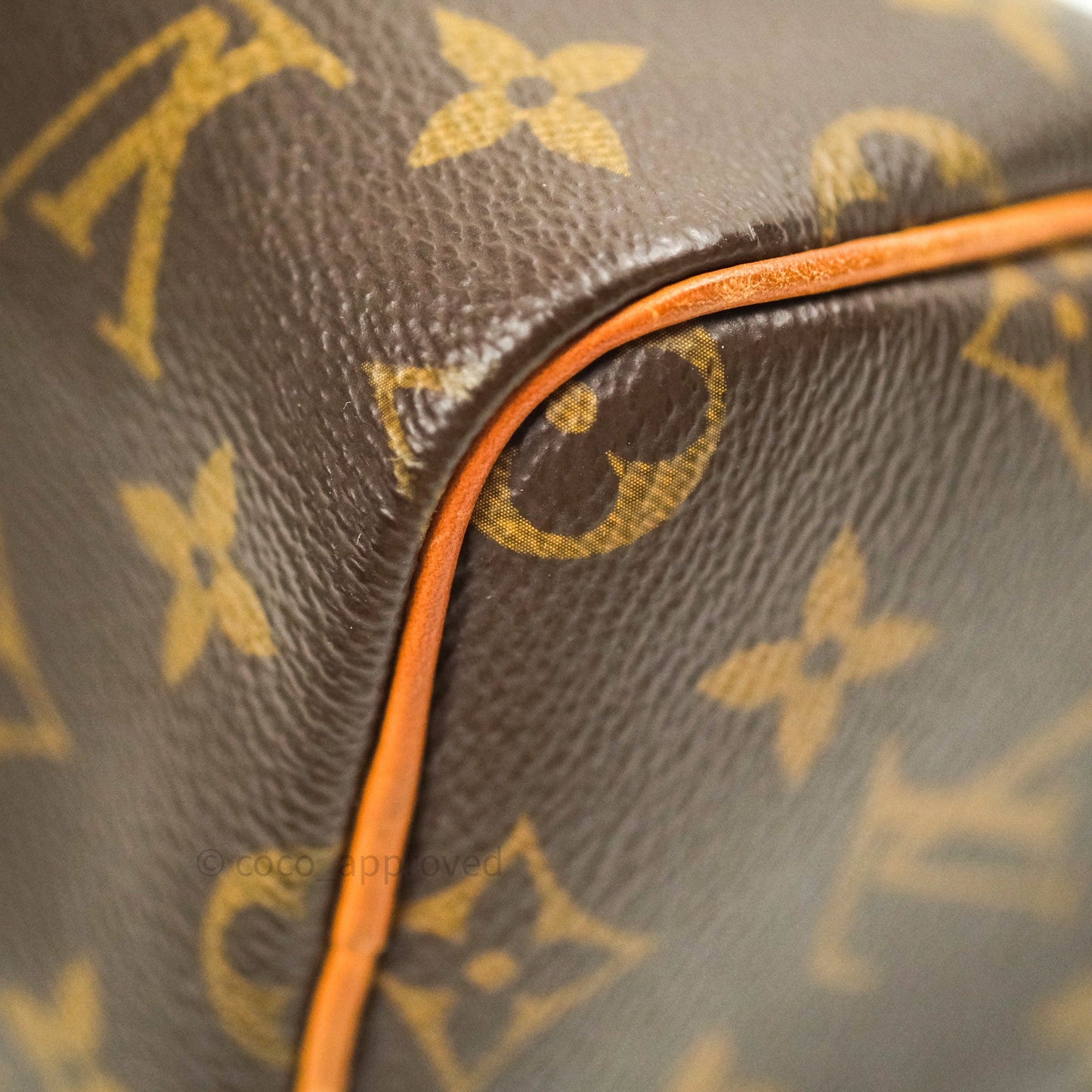Louis Vuitton Monogram Nano Speedy
