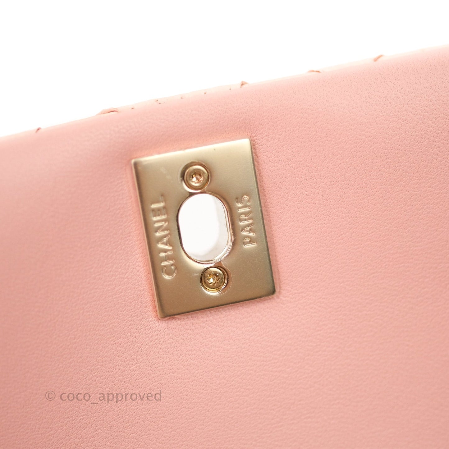 Chanel Small Handle Flap Bag Pink Python Gold Hardware