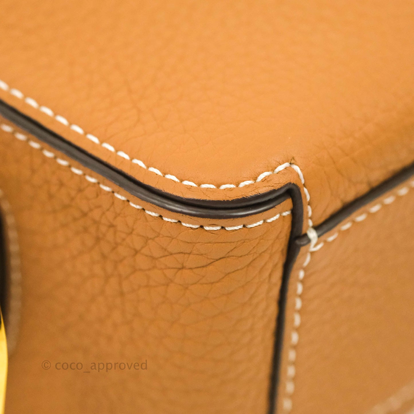 Delvaux Nano Cool Box in Taurillon Soft Grained Calfskin Vegetal Ivory Gold Hardware