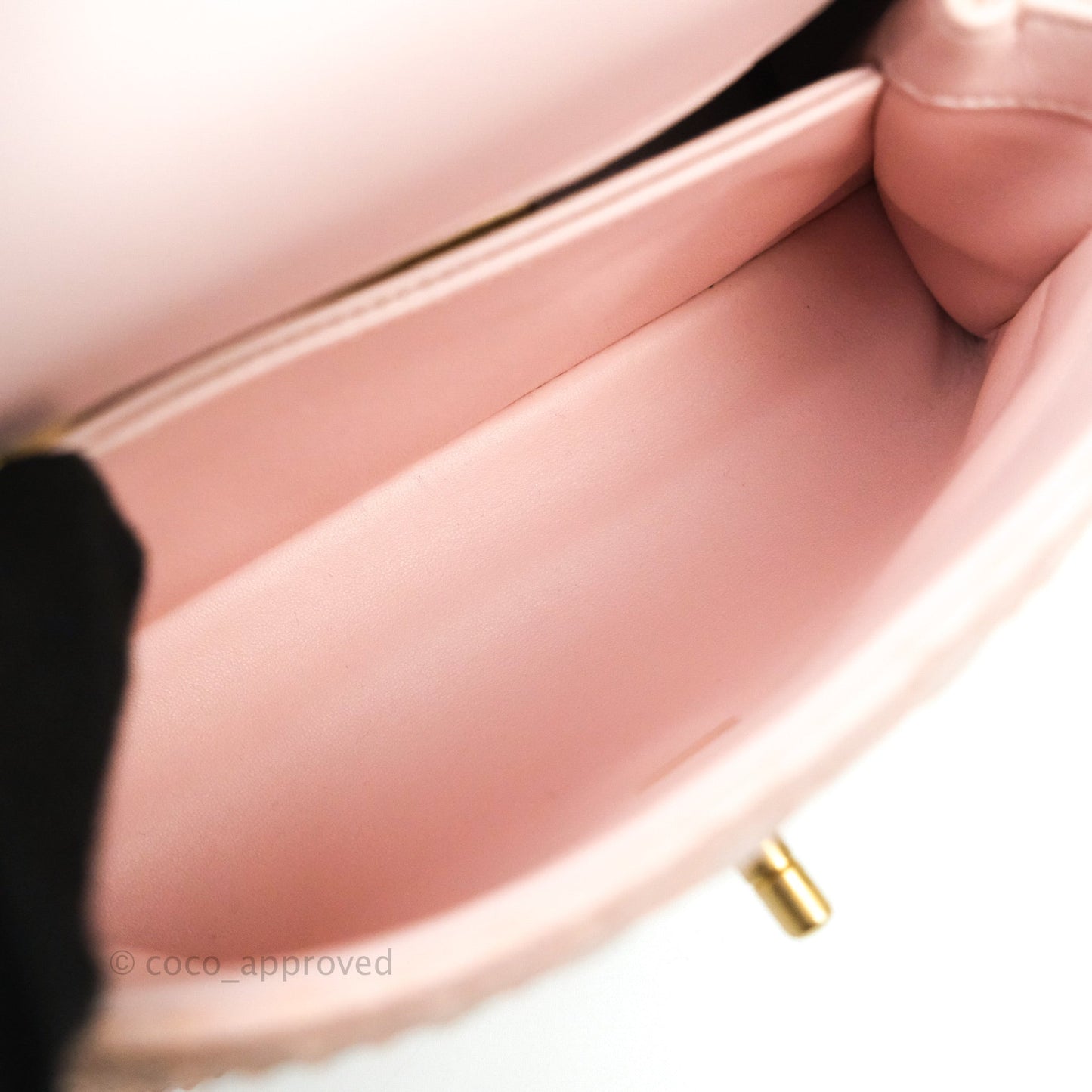 Chanel Quilted Mini Coco Handle Baby Pink Python Gold Hardware