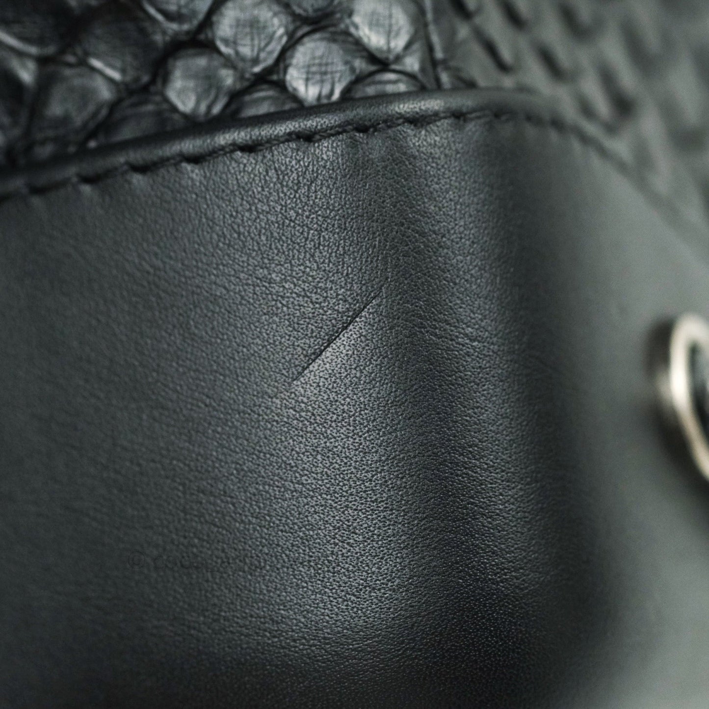 Chanel Gabrielle Backpack Black Python Small Black Mixed Hardware