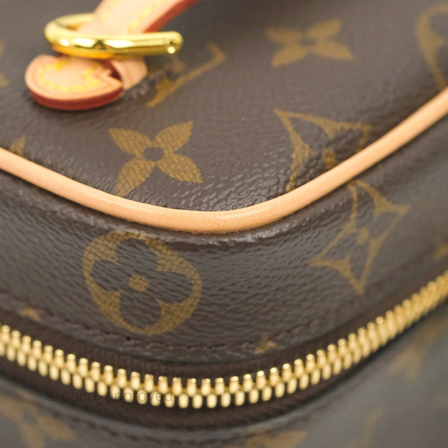 Louis Vuitton Monogram Nice Nano