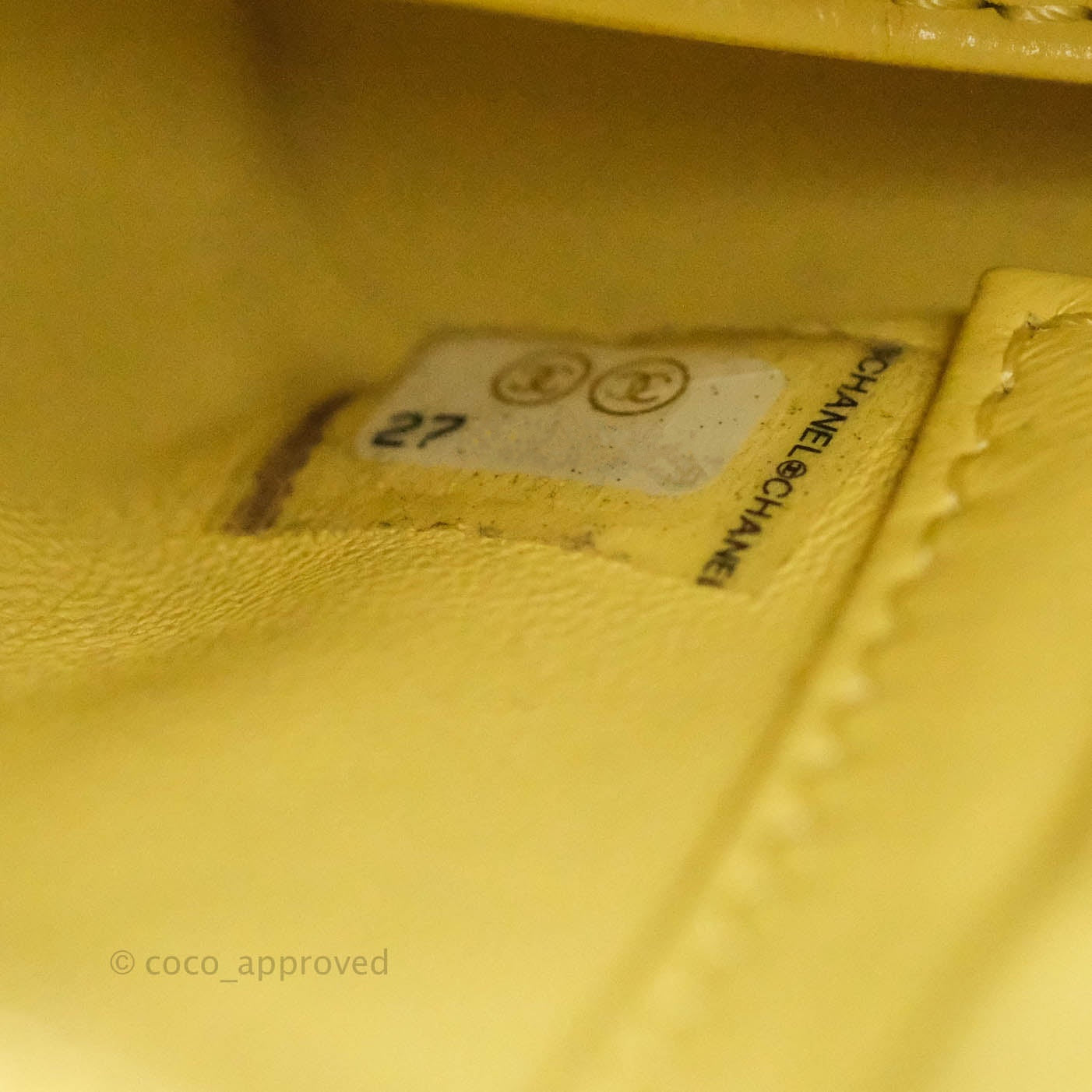 Chanel Small Gabrielle Hobo Yellow Python Mixed Hardware