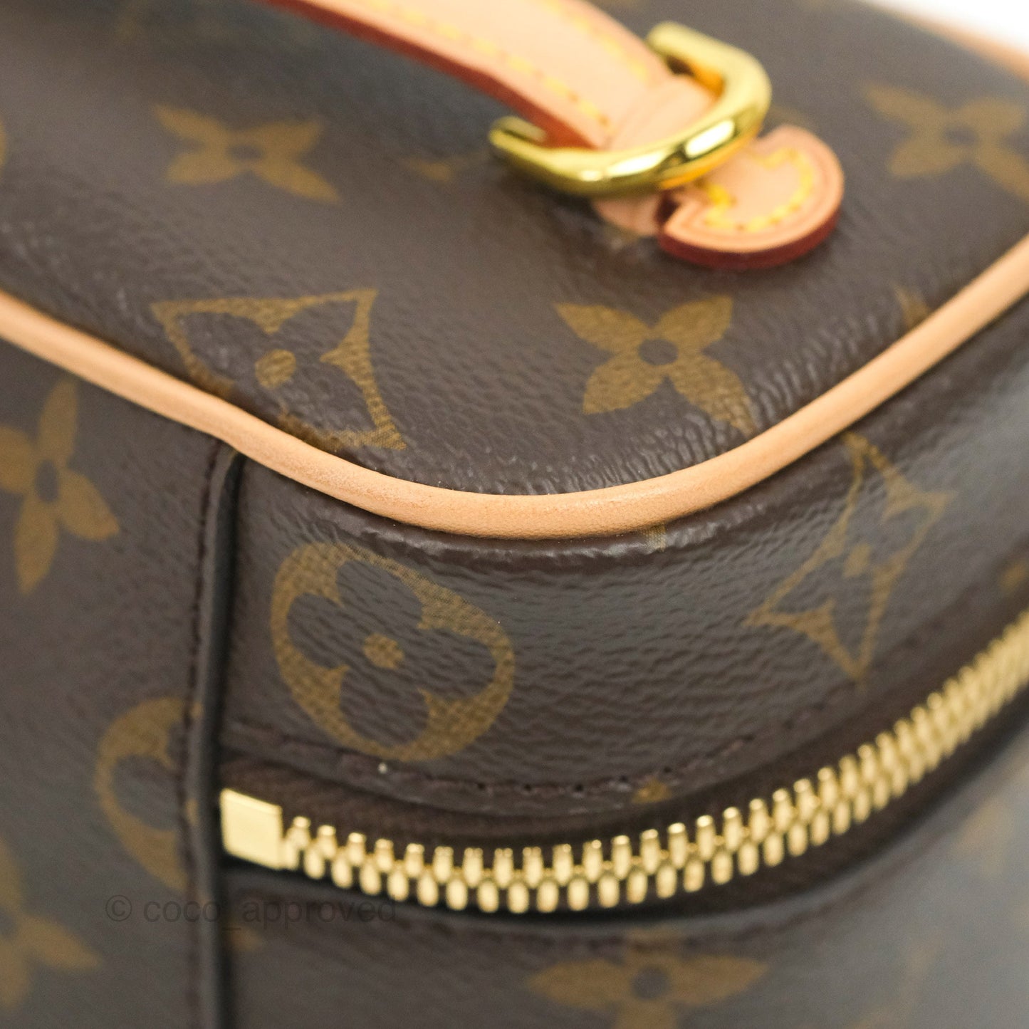 Louis Vuitton Monogram Nice Nano