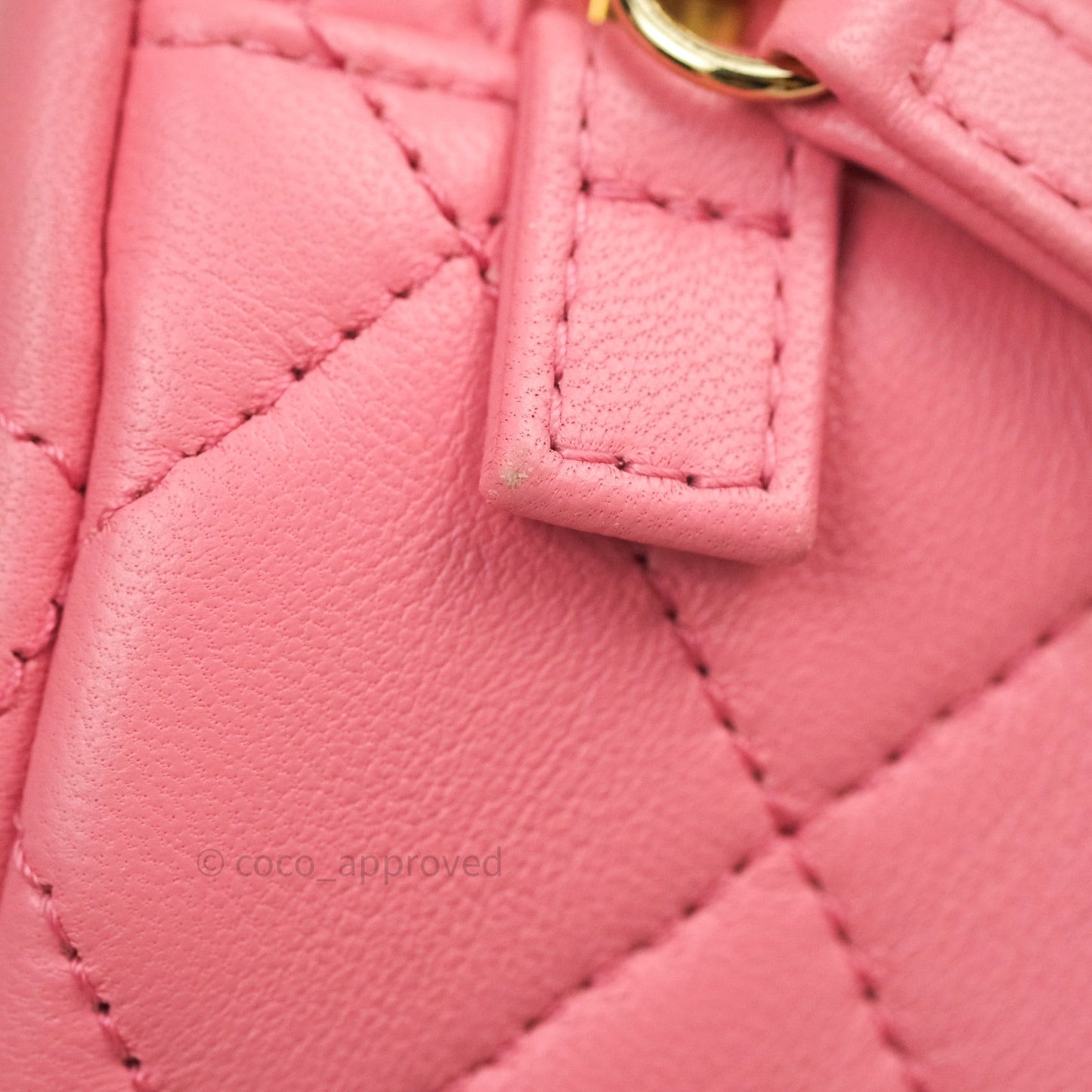 Chane Quilted Camera Pink Lambskin Gold Hardware