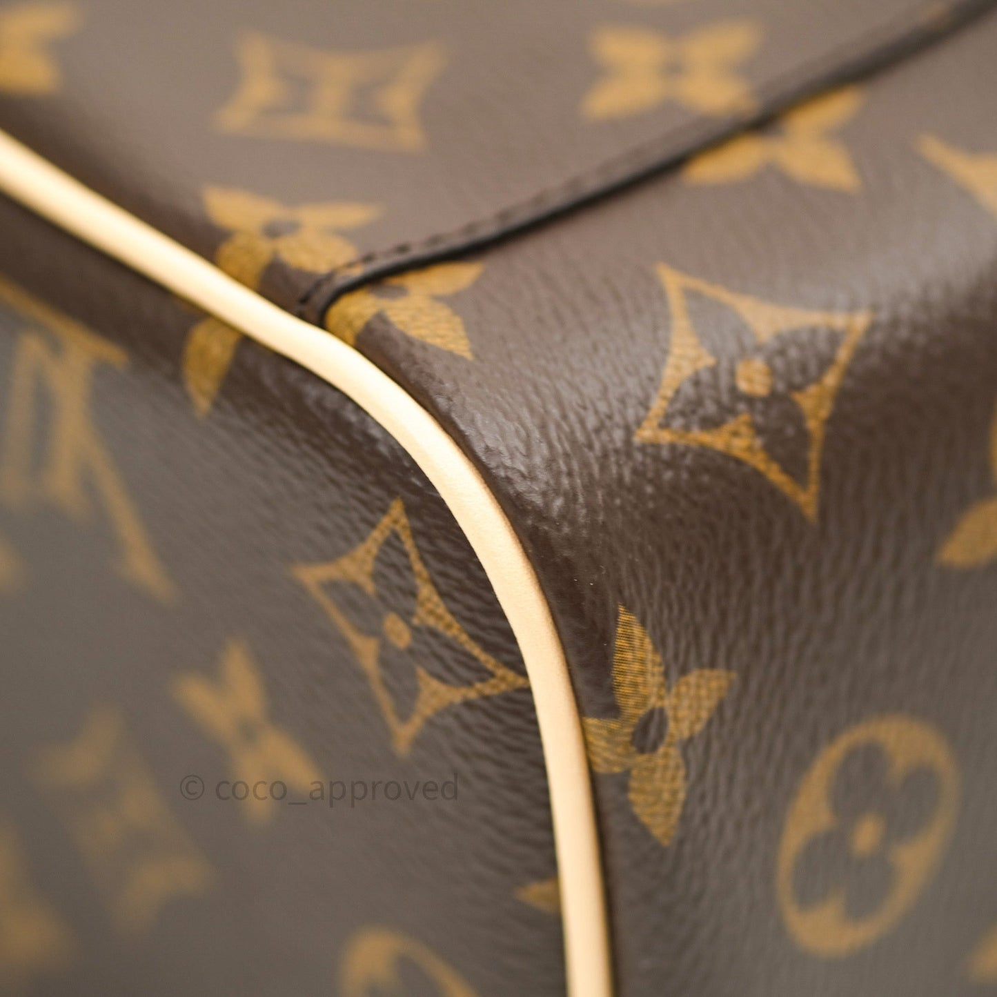 Louis Vuitton Monogram Nice Mini