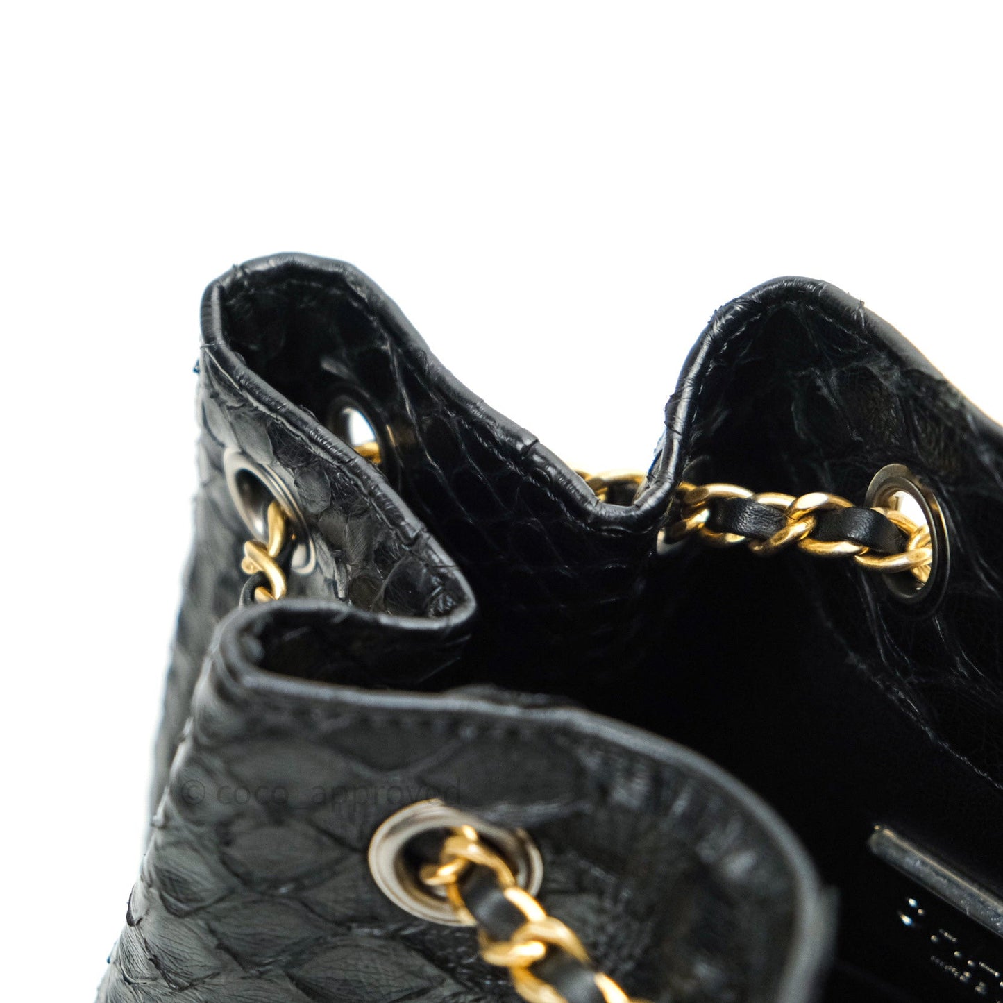 Chanel Gabrielle Backpack Black Python Small Black Mixed Hardware