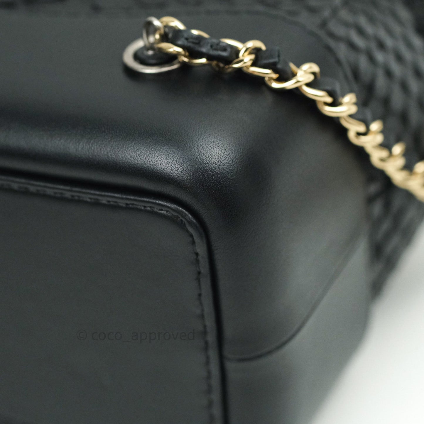 Chanel Gabrielle Backpack Black Python Small Black Mixed Hardware