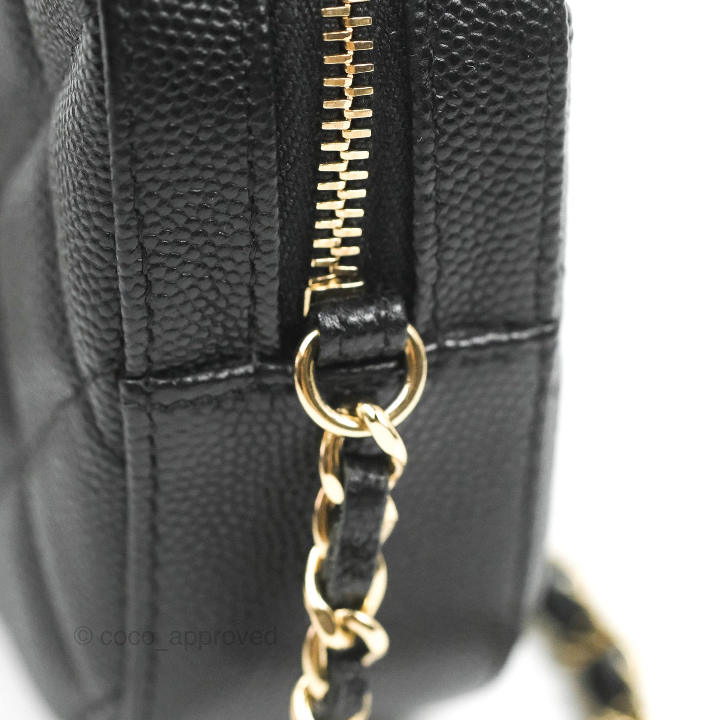 Chanel Quilted Camera Bag Black Caviar Gold Hardware 21A
