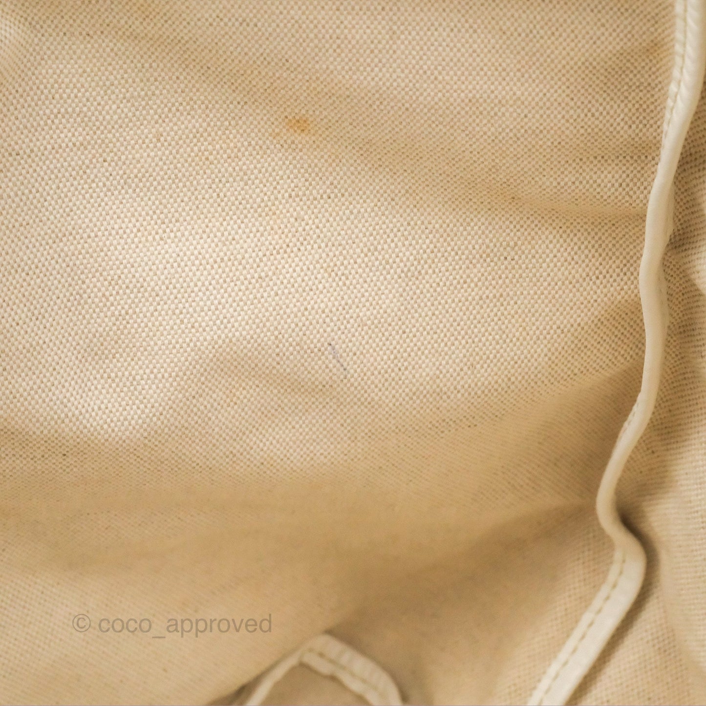 Goyard St Louis Tote PM ⁣⁣⁣⁣⁣⁣⁣⁣⁣⁣⁣⁣⁣⁣⁣⁣⁣⁣⁣⁣White Goyardine Canvas