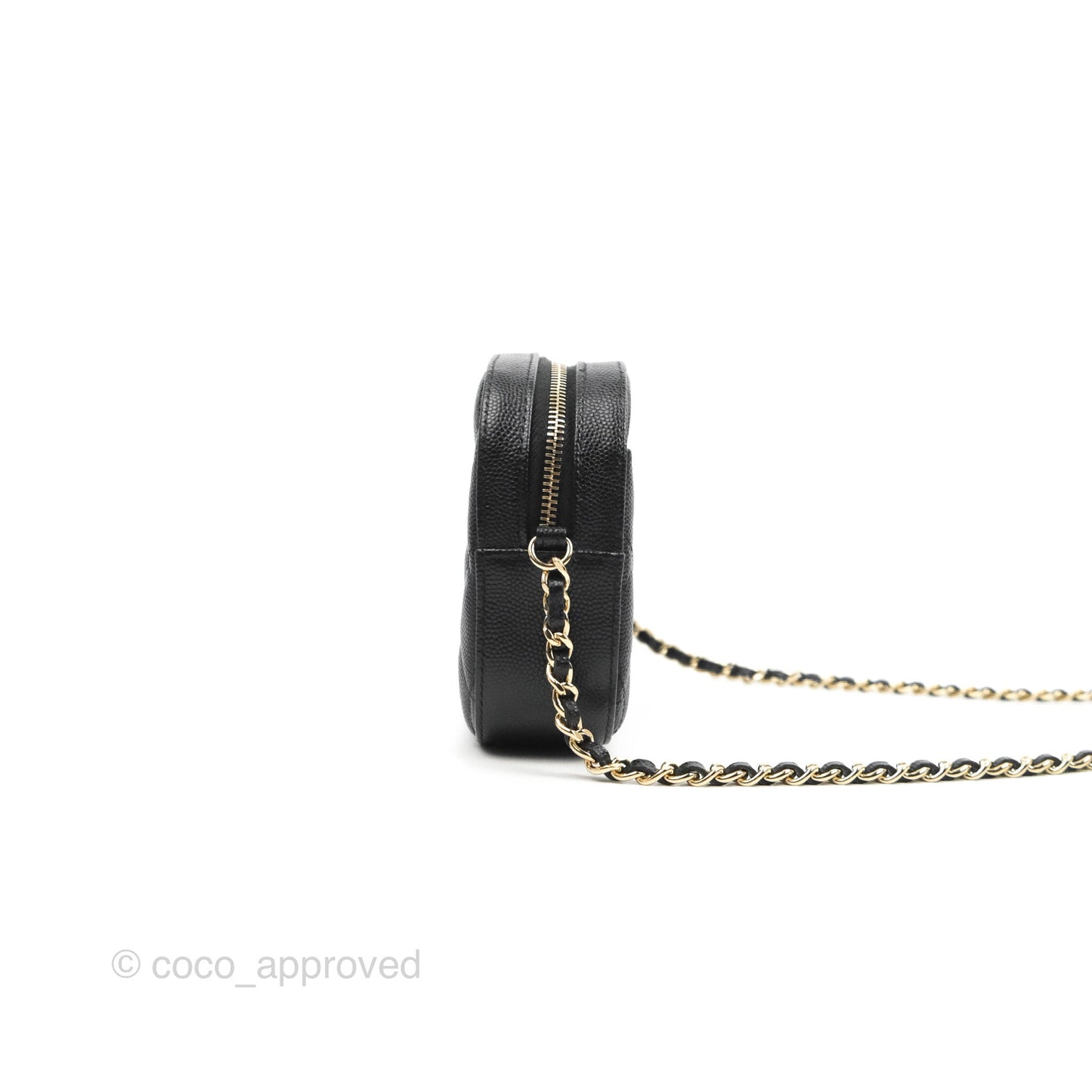 Chanel Quilted Camera Bag Black Caviar Gold Hardware 21A