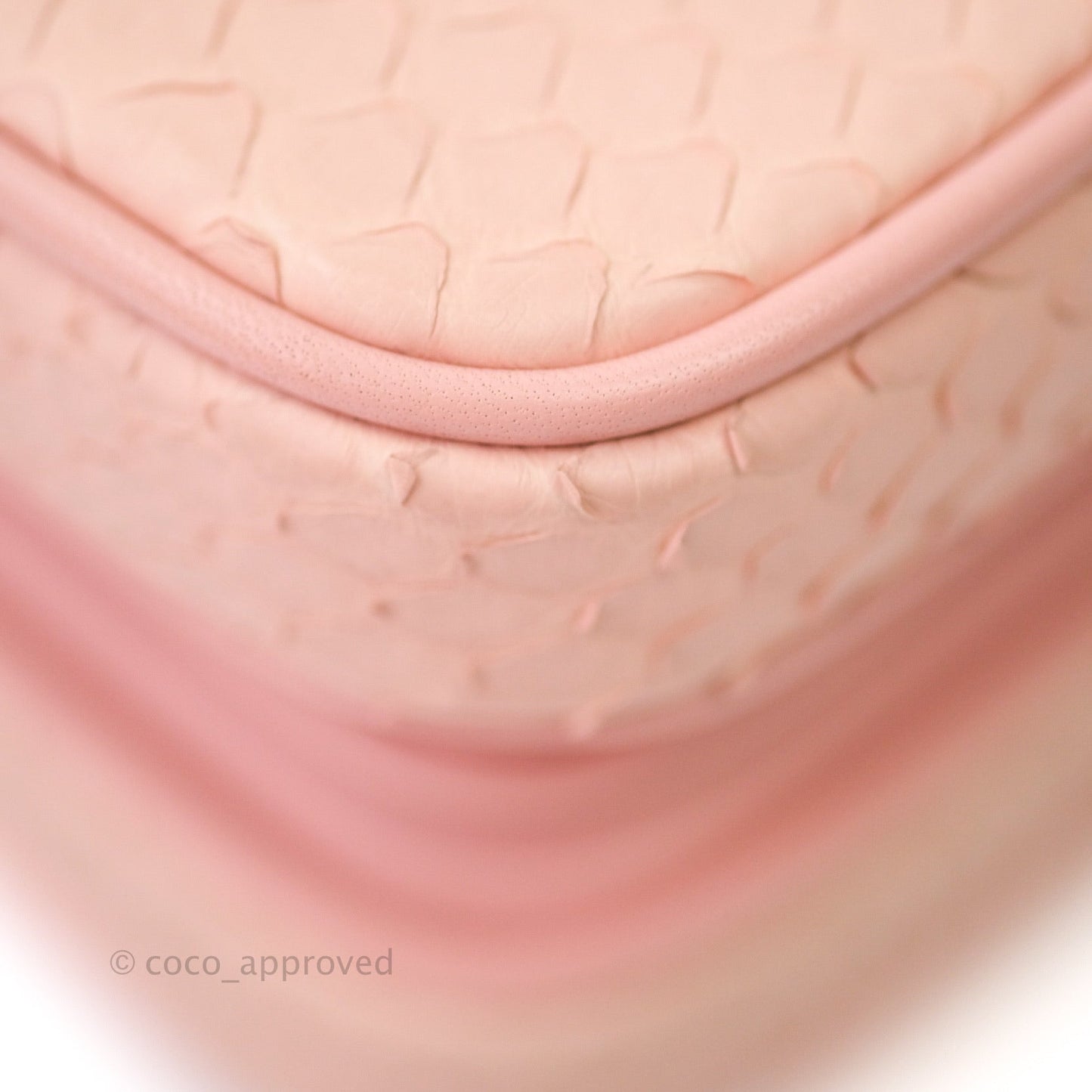 Chanel Small Handle Flap Bag Pink Python Gold Hardware