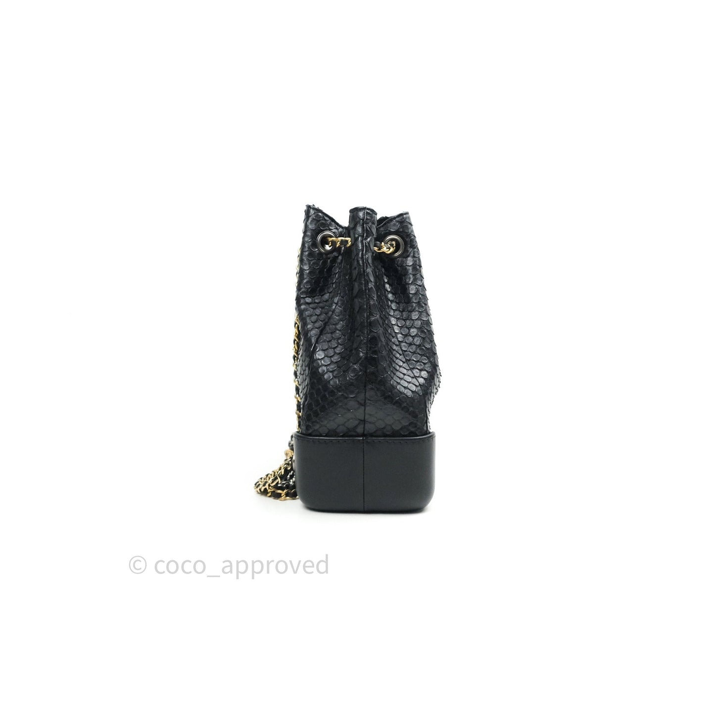Chanel Gabrielle Backpack Black Python Small Black Mixed Hardware