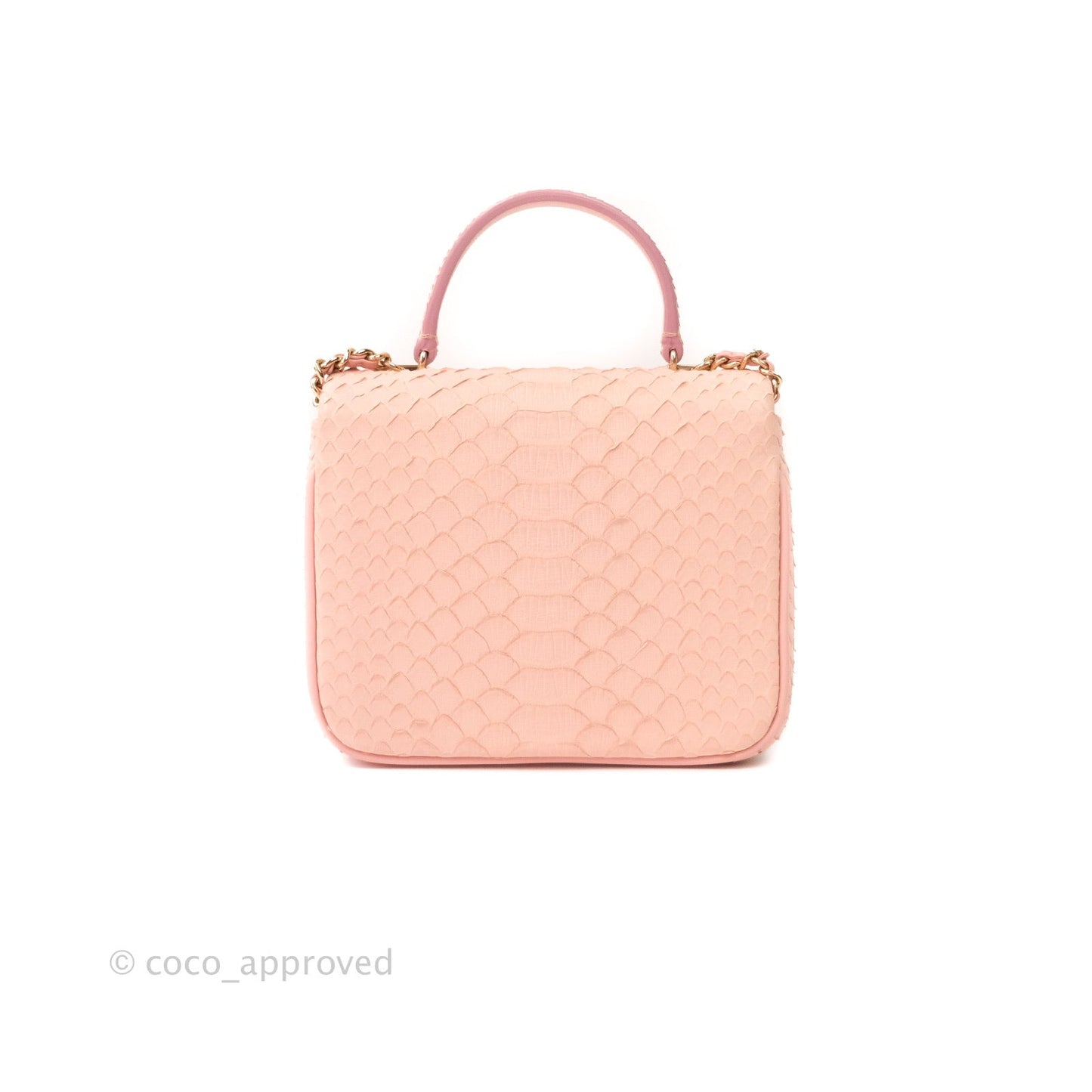 Chanel Small Handle Flap Bag Pink Python Gold Hardware