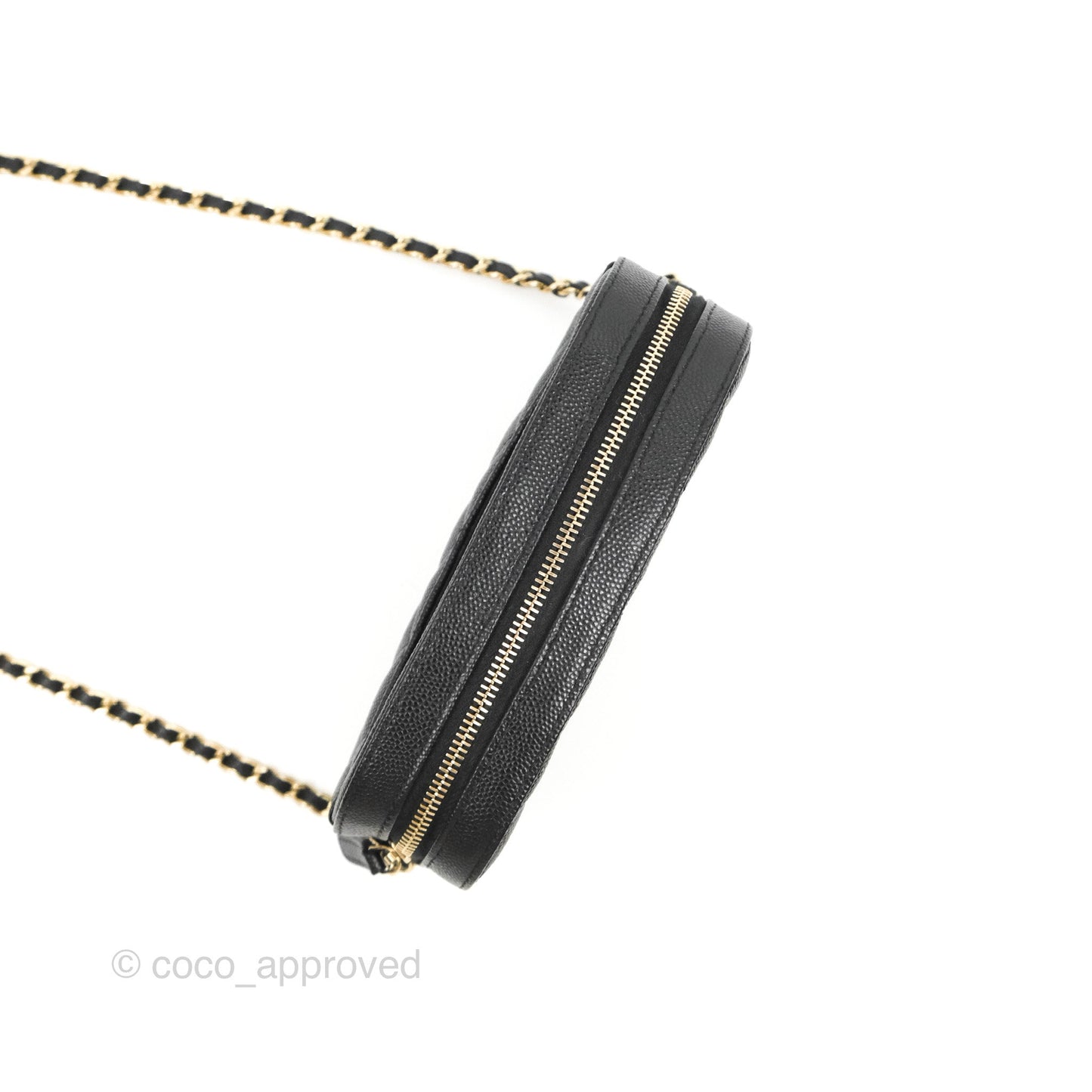 Chanel Quilted Camera Bag Black Caviar Gold Hardware 21A