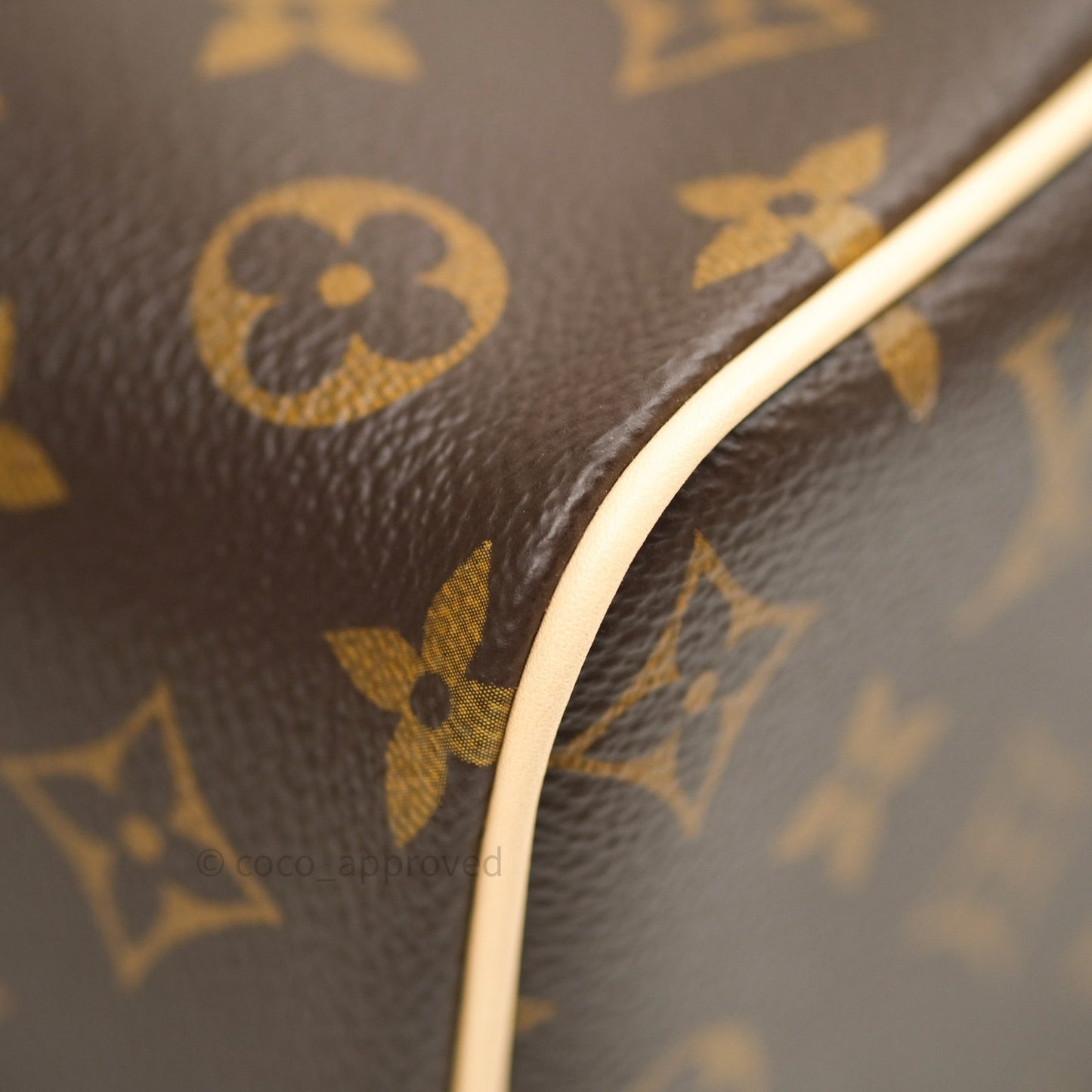 Louis Vuitton Monogram Nice Mini