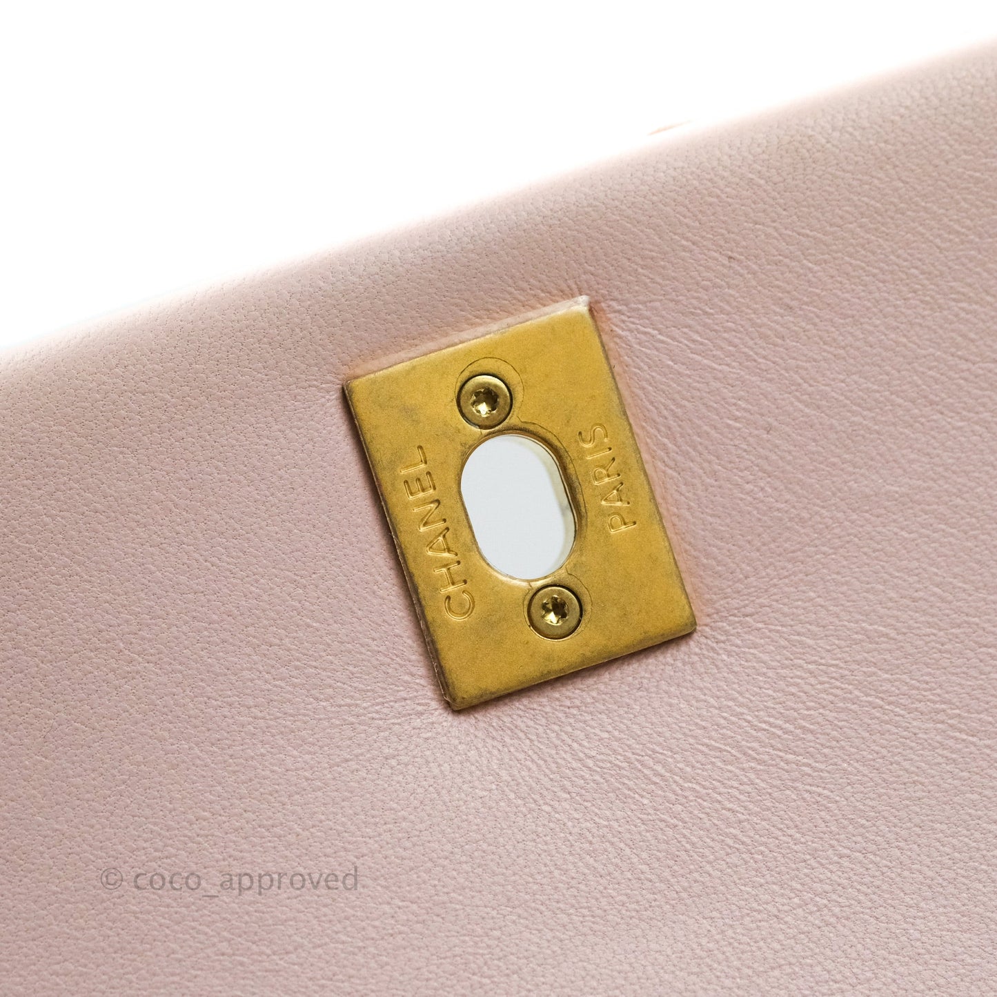 Chanel Quilted Mini Coco Handle Baby Pink Python Gold Hardware