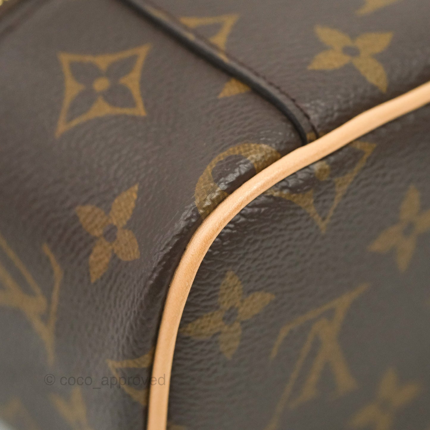 Louis Vuitton Monogram Nice Nano