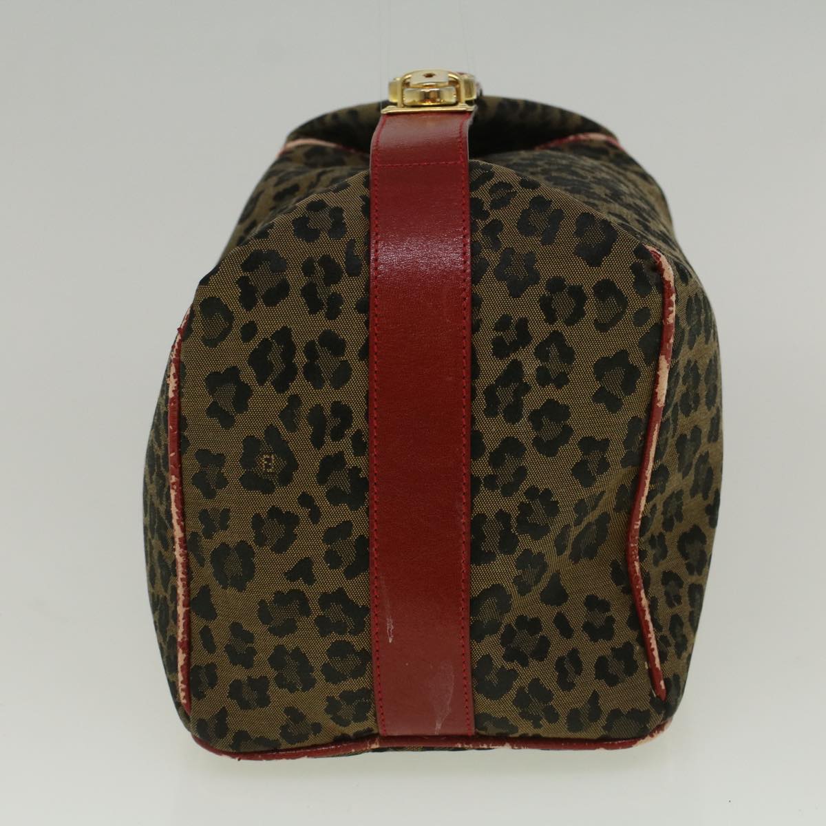 Luxury FendiLeopard Hand Bag Nylon Brown Redth4301