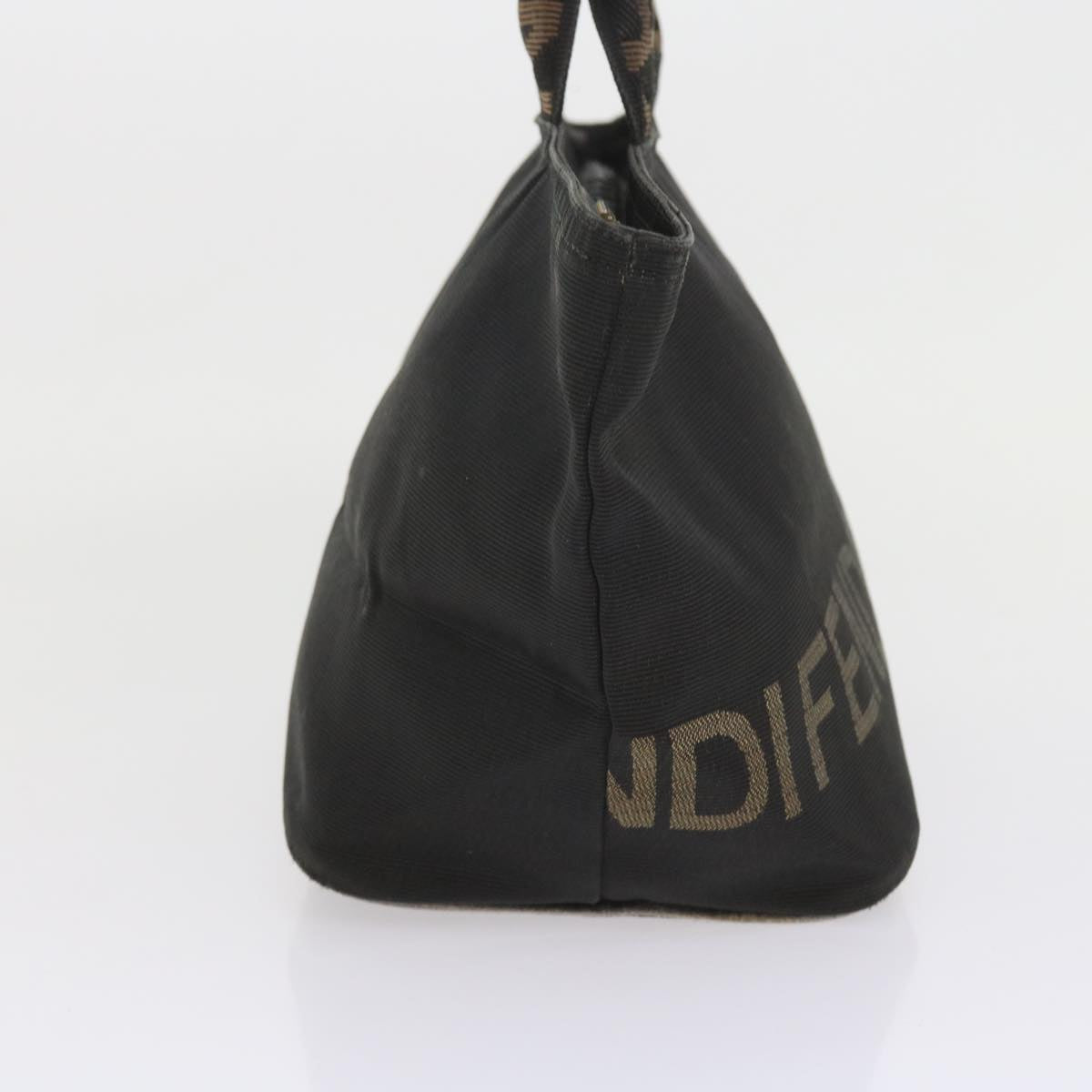 Luxury FendiHand Bag Canvas Blackyk9264