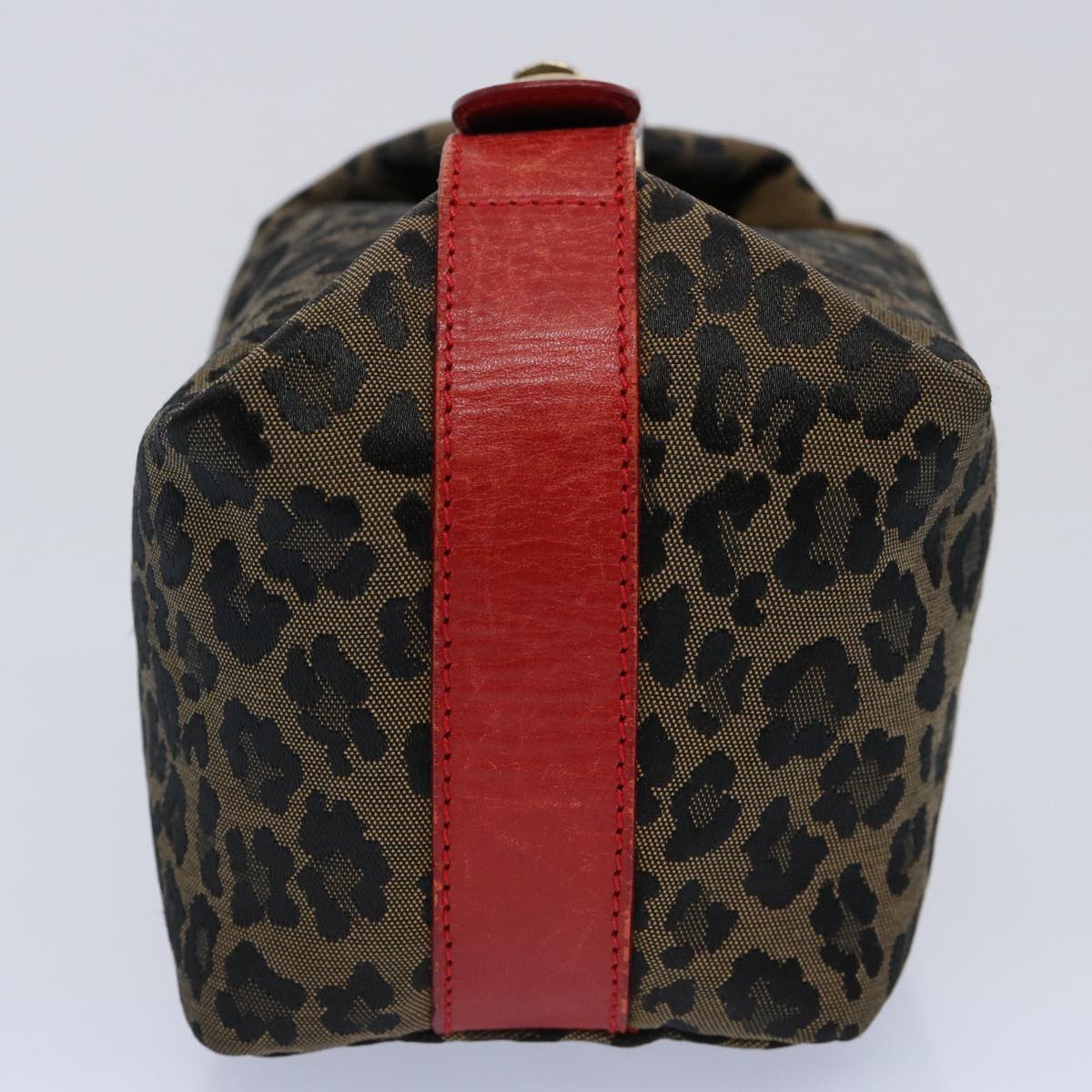 Luxury FendiHand Pouch Canvas Brownyk9727